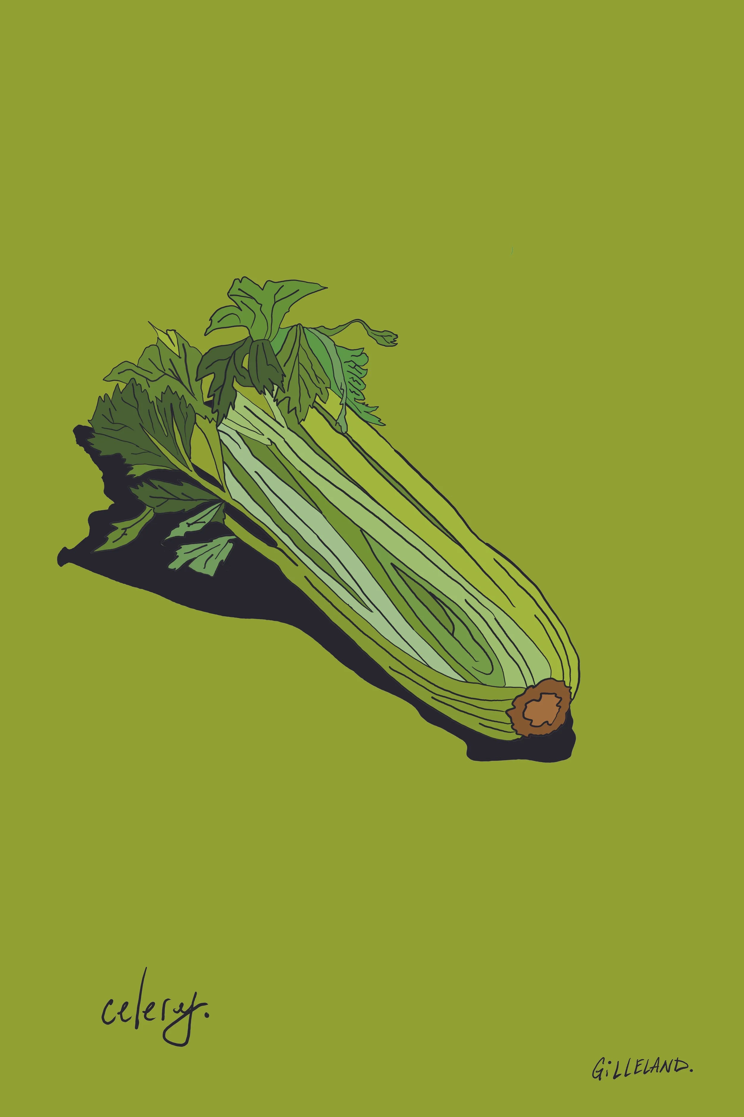 celery.jpg