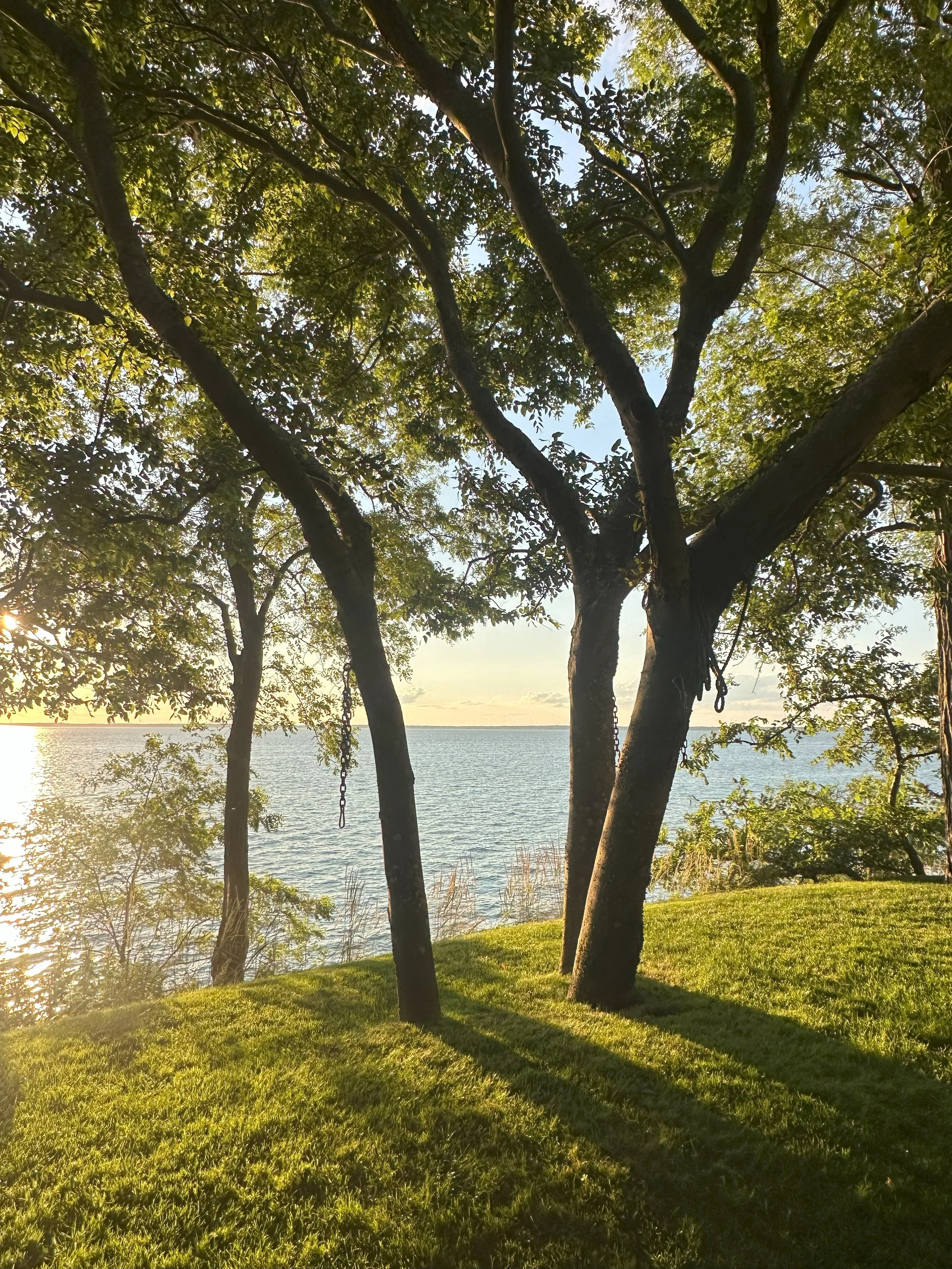 HAMPTONS COPSE.jpg