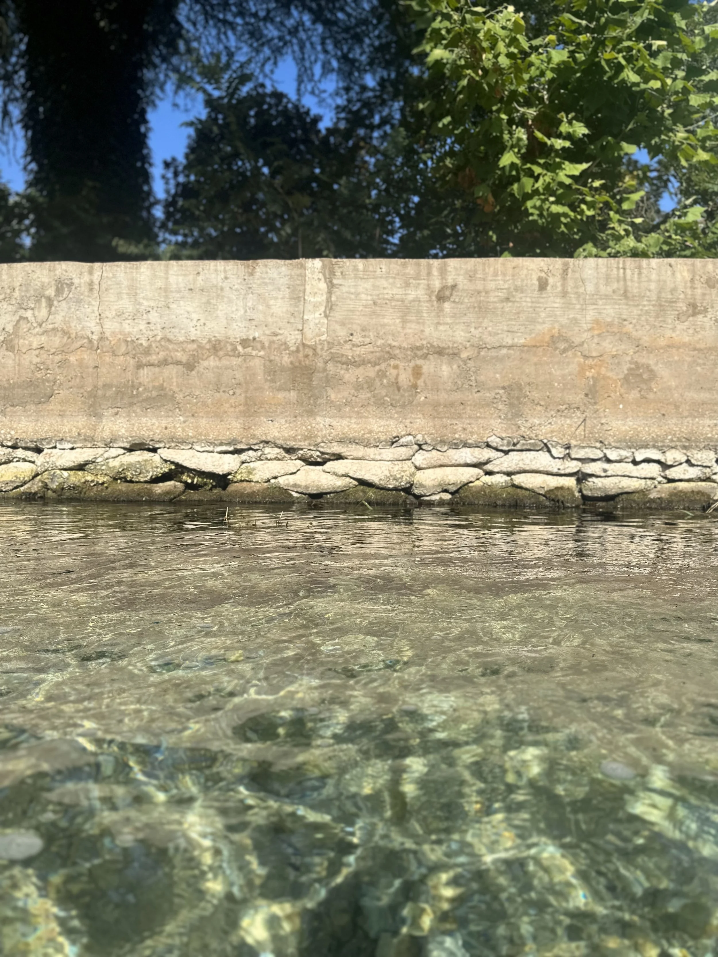 inspiration san marcos kerbey lane layers.jpg