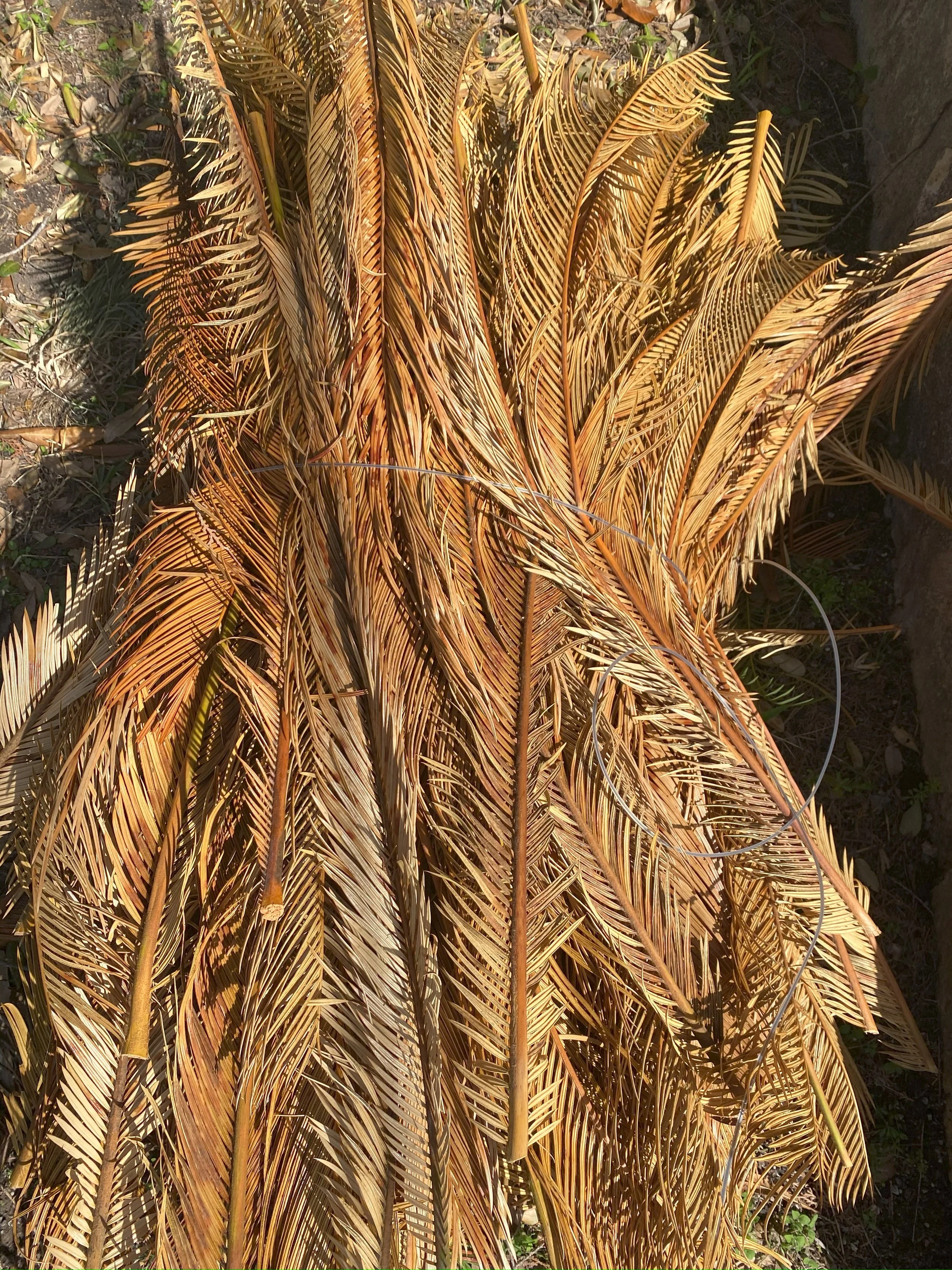 texture.jpg