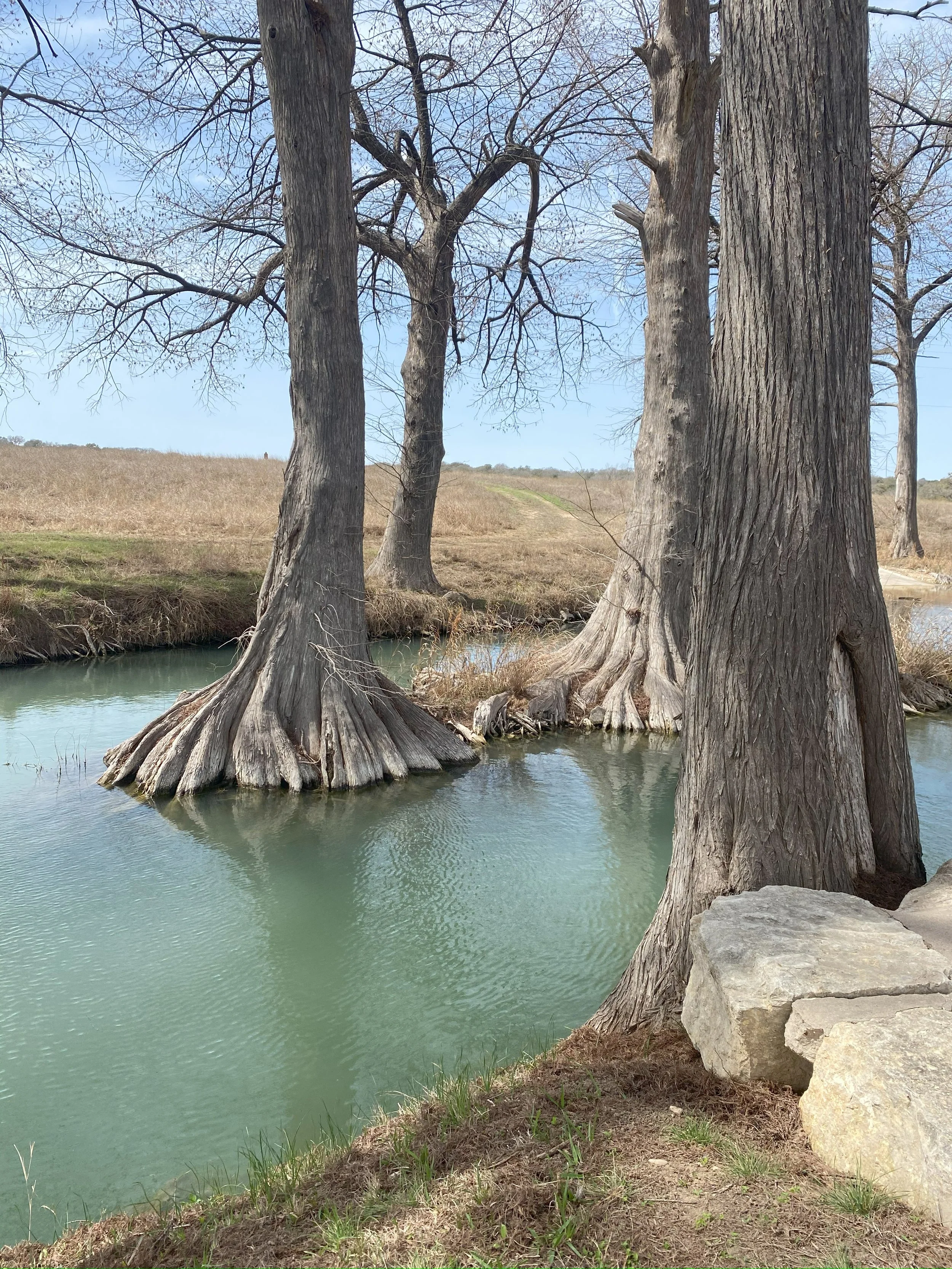 JOSHUA CREEK.jpg
