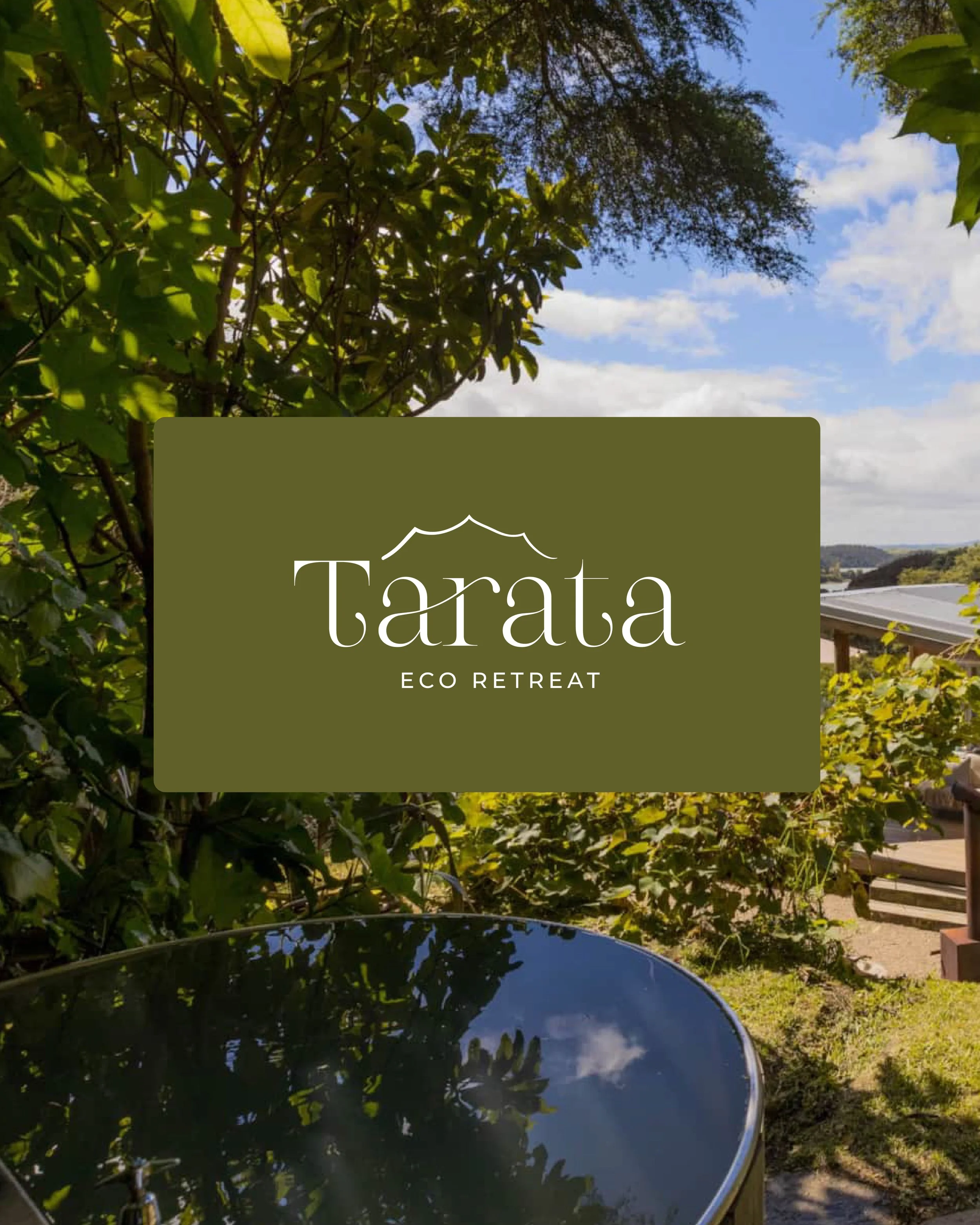 taratacarousel-08.jpg