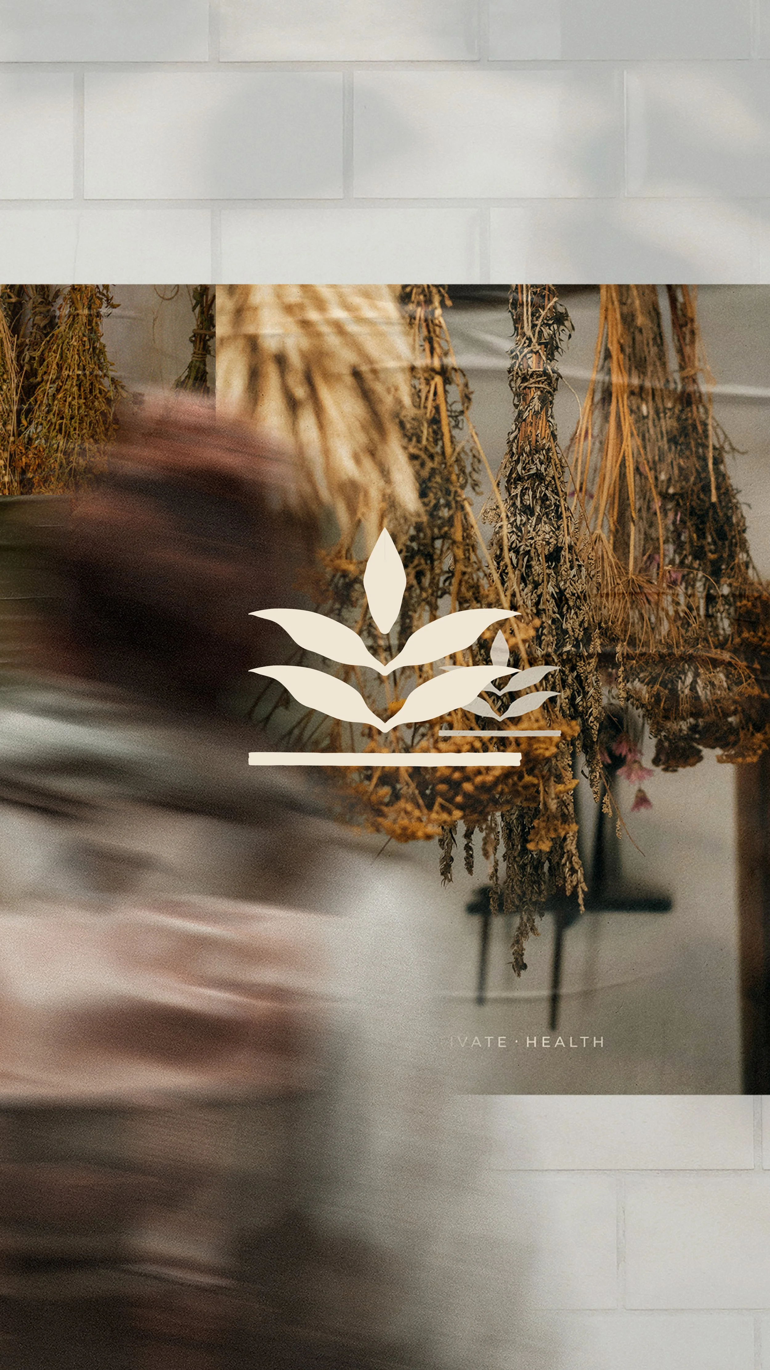 Cultivatereel-02.jpg