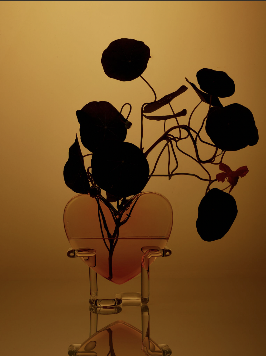 Screen Shot 2026-01-20 at 2.16.05 pm.png