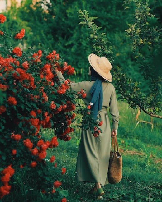 Woman in straw hat admiring bush filled with red flowers
