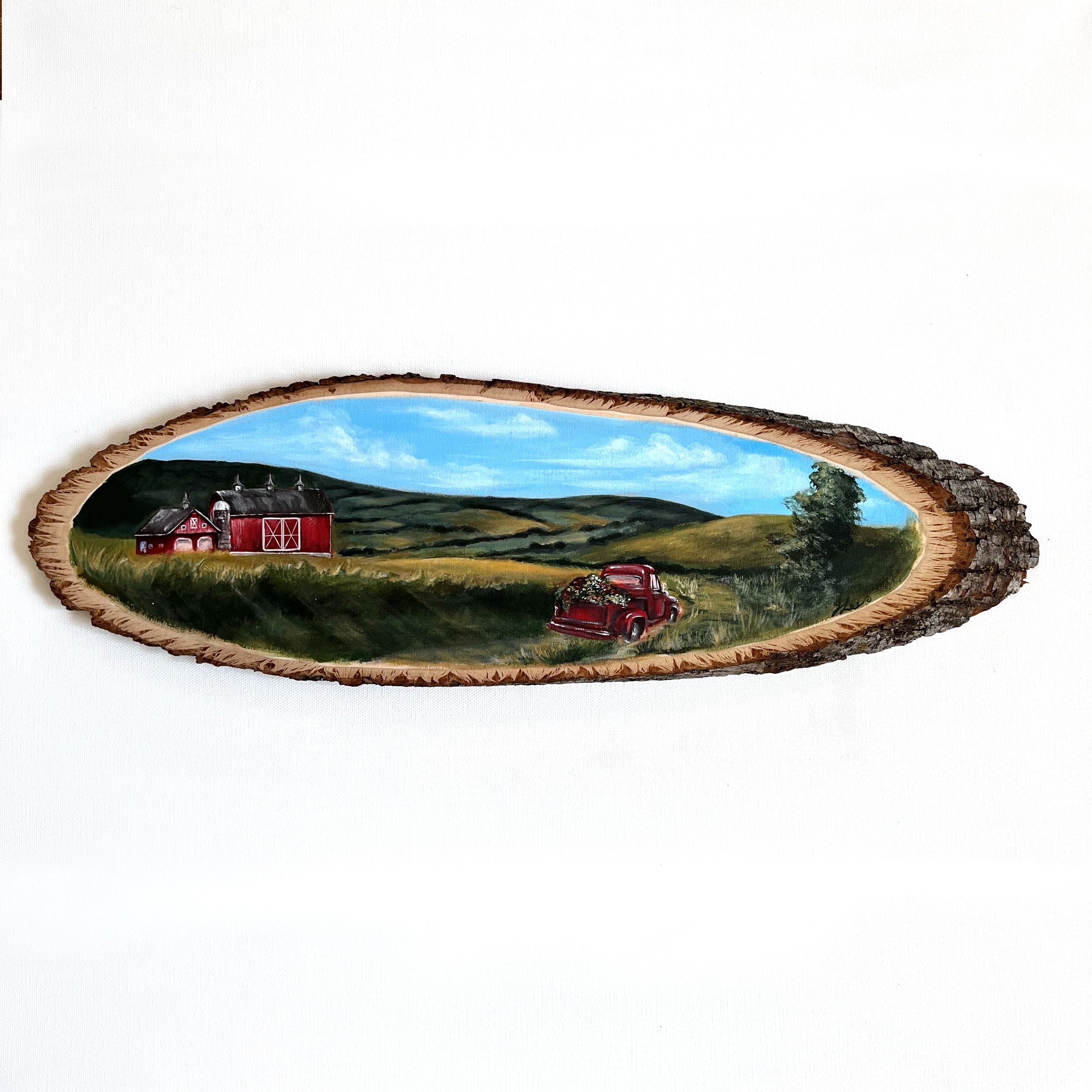 Farm Landscape (panoramic)