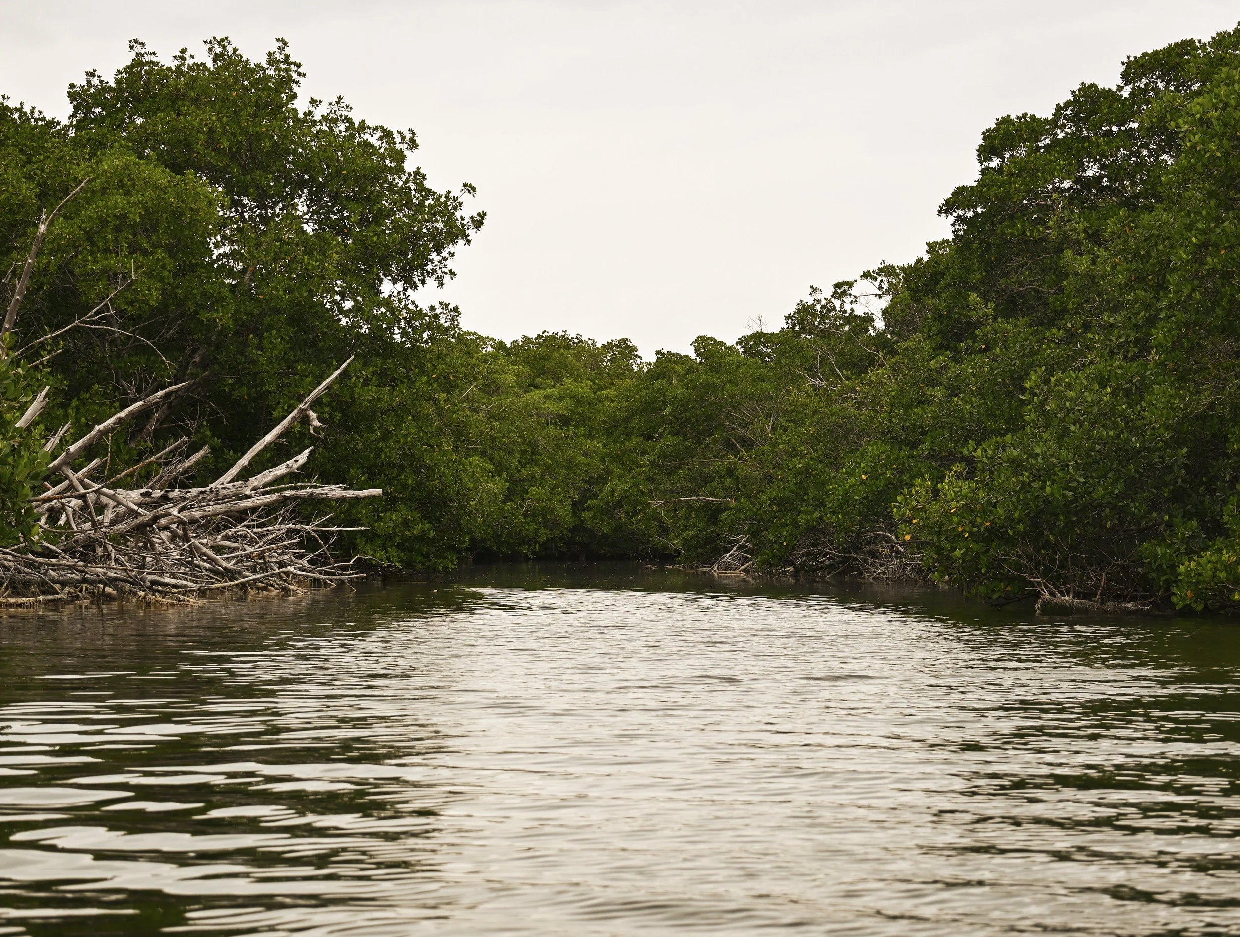 4-DSC_1216.jpg