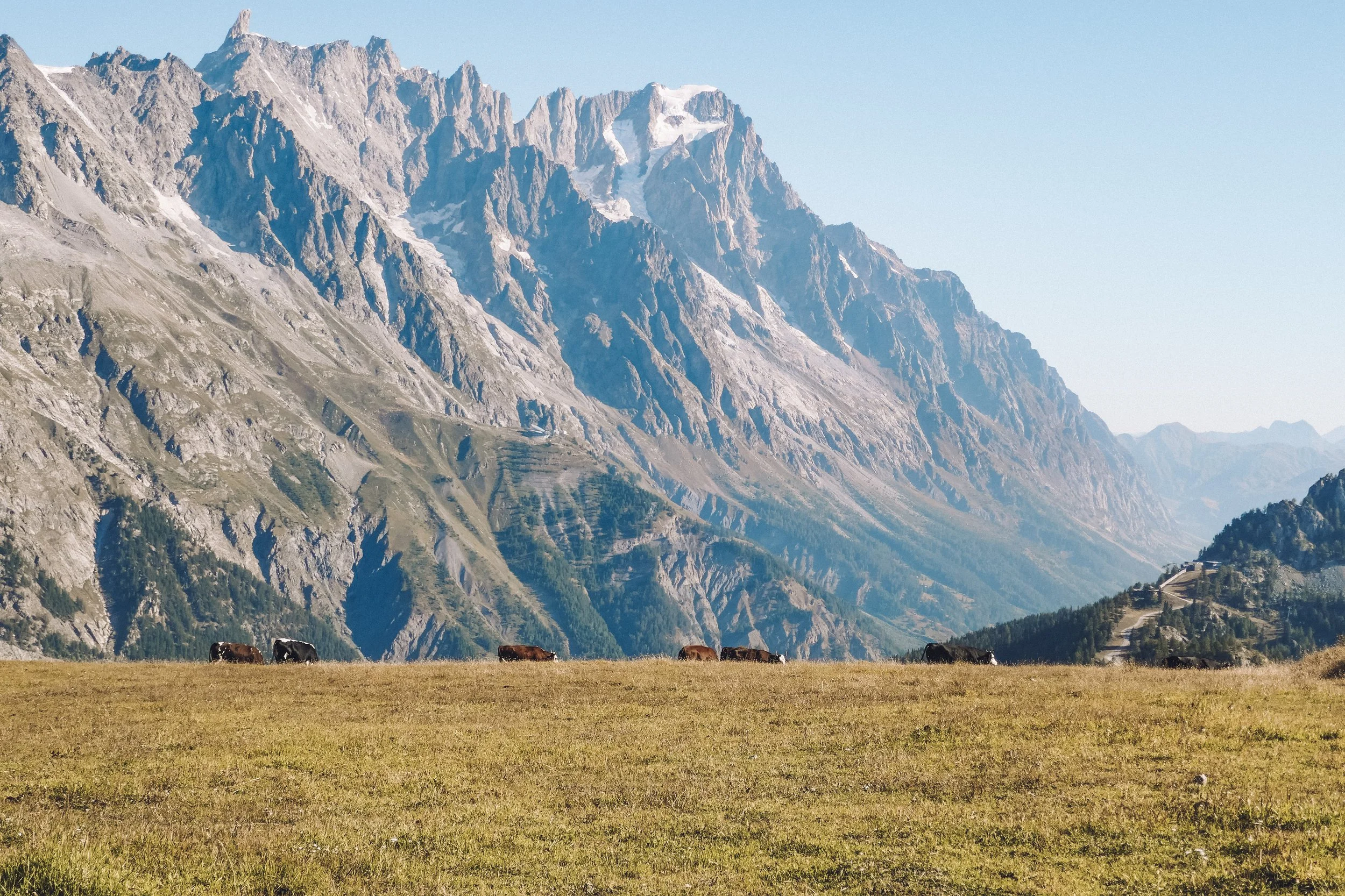 19-P1020834.jpg