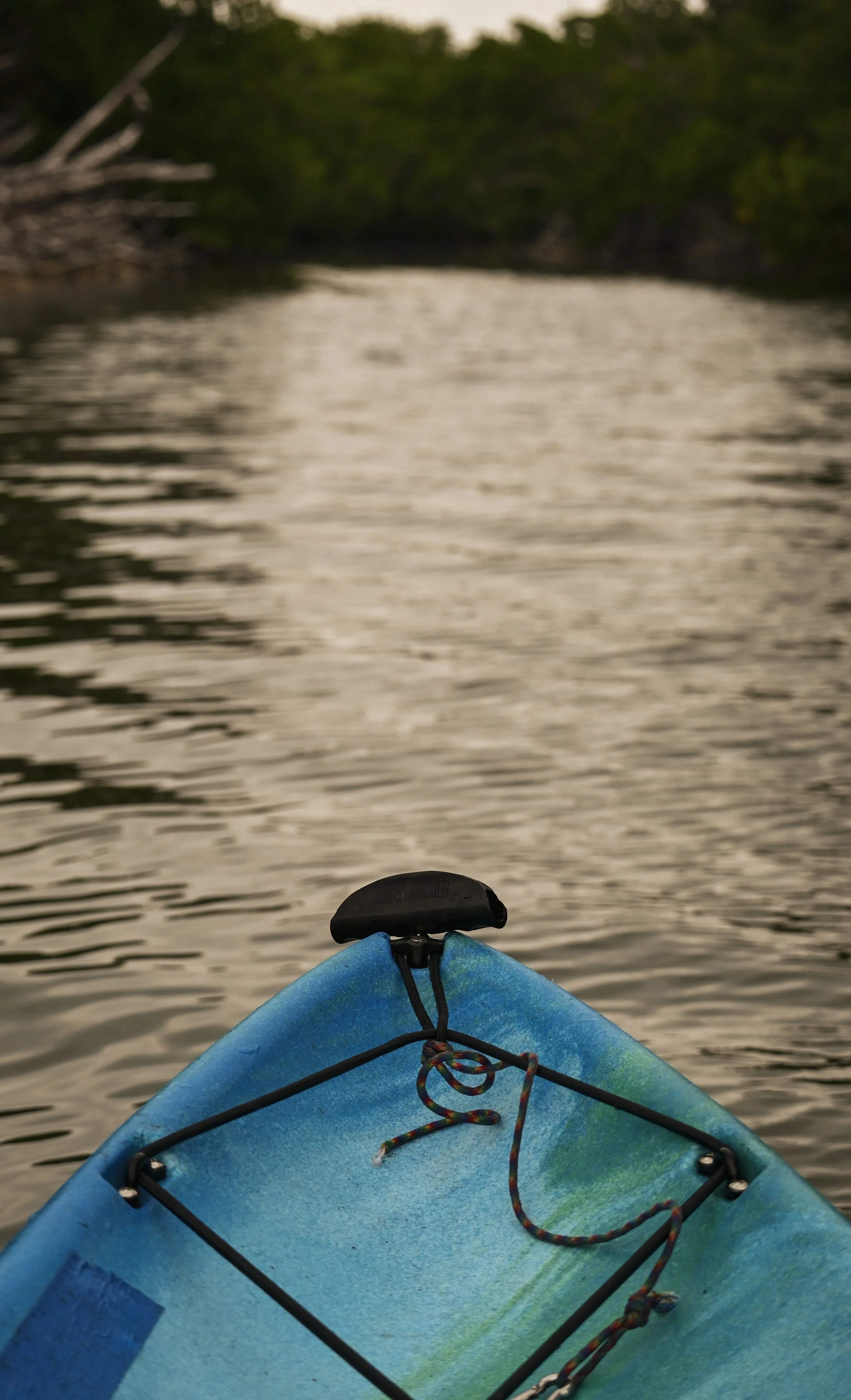 5-DSC_1217.jpg