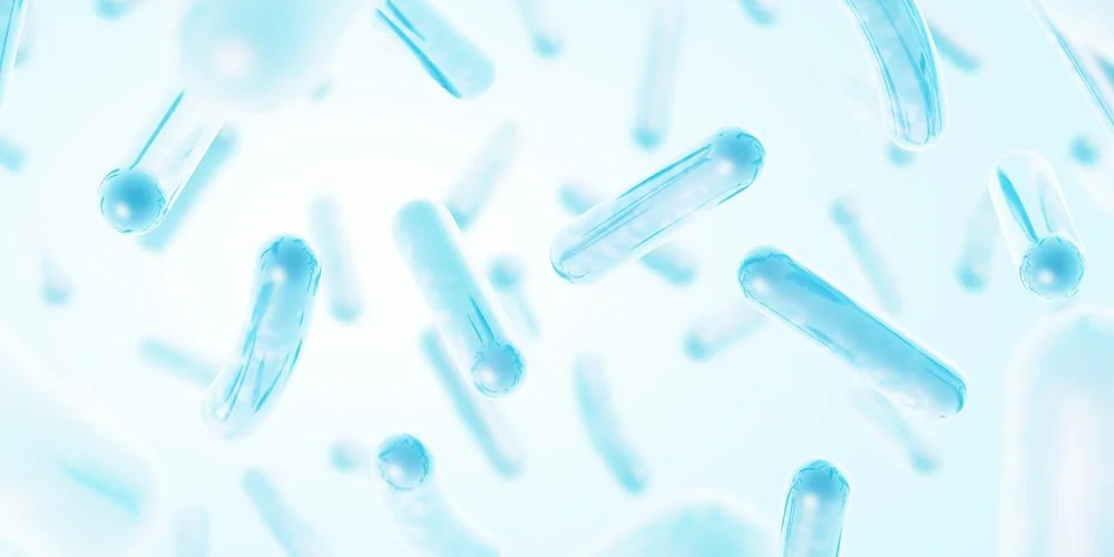 Vaginal Microbiome Dominated by Lactobacillus Positively Impacts Clinical Pregnancy in Patients With Frozen Embryo Transfers.