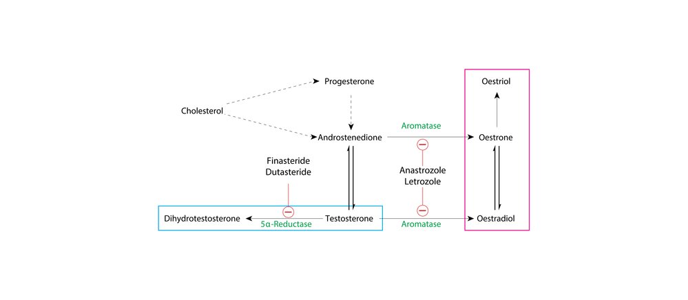 Research analysis show that using acupuncture with letrozole for women with PCOS is more effective than just using letrozole on its own. 
