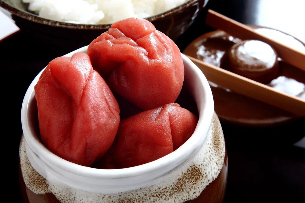 Looking at the neuro-protective properties of Fructus Mume (Wu mei/Umeboshi plums). 