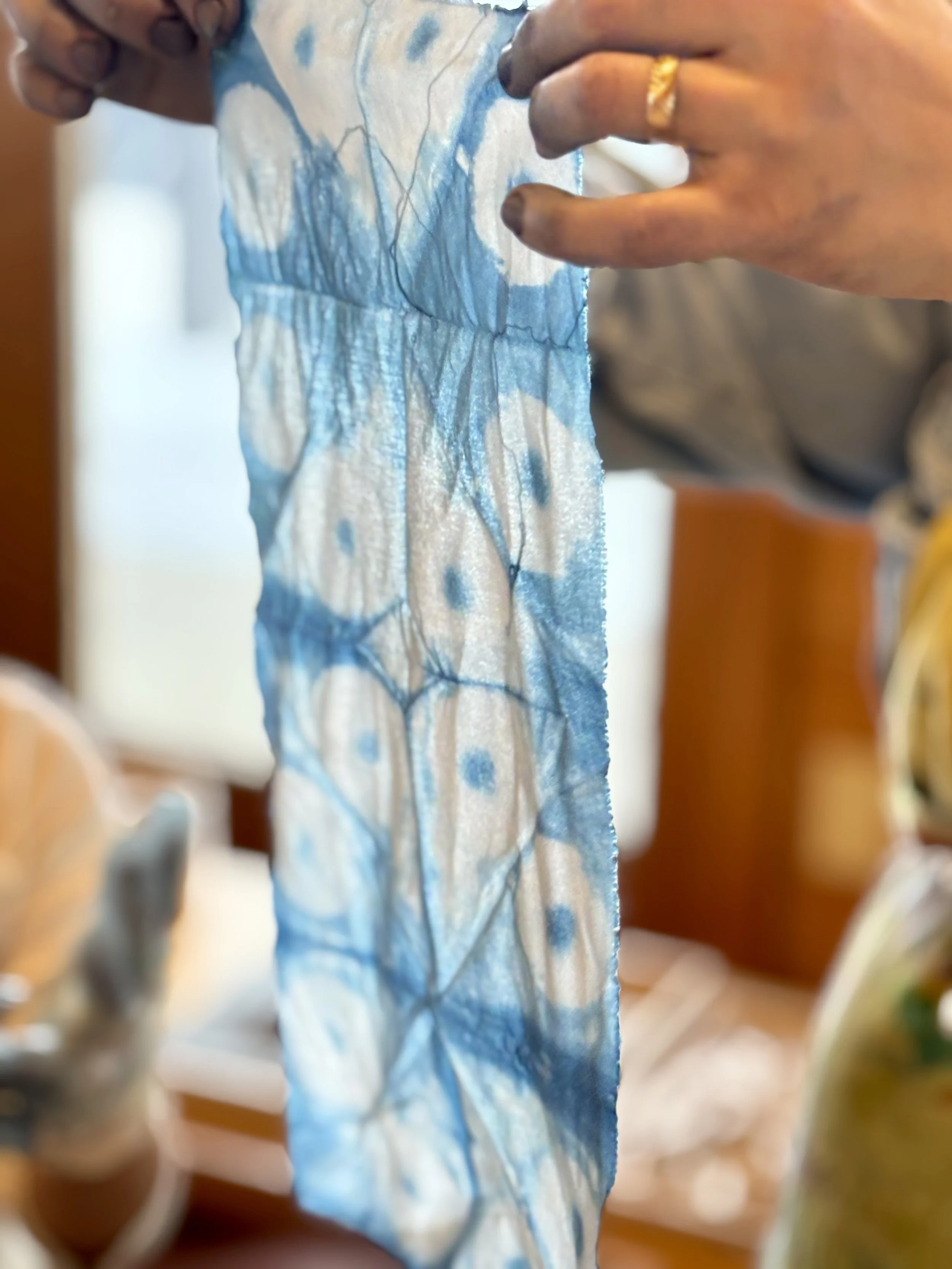 Indigo in the Classroom: A Living Dye Lab for Schools