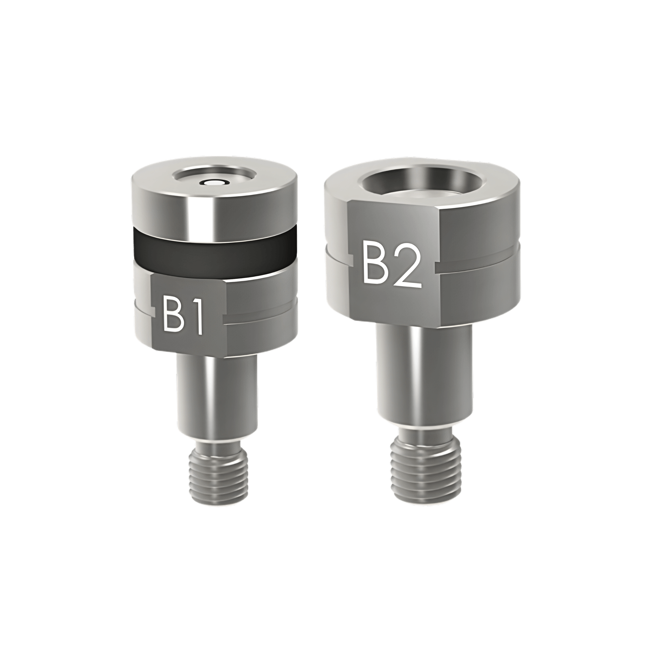 B1 + B2 Dies- 054301