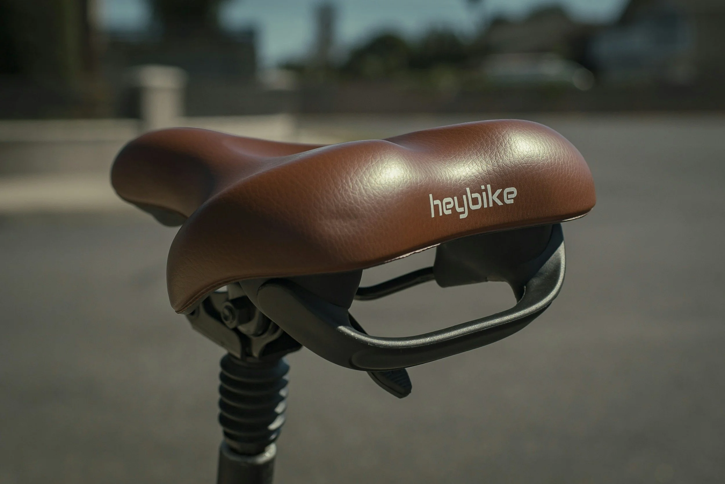 We bought e-bikes!