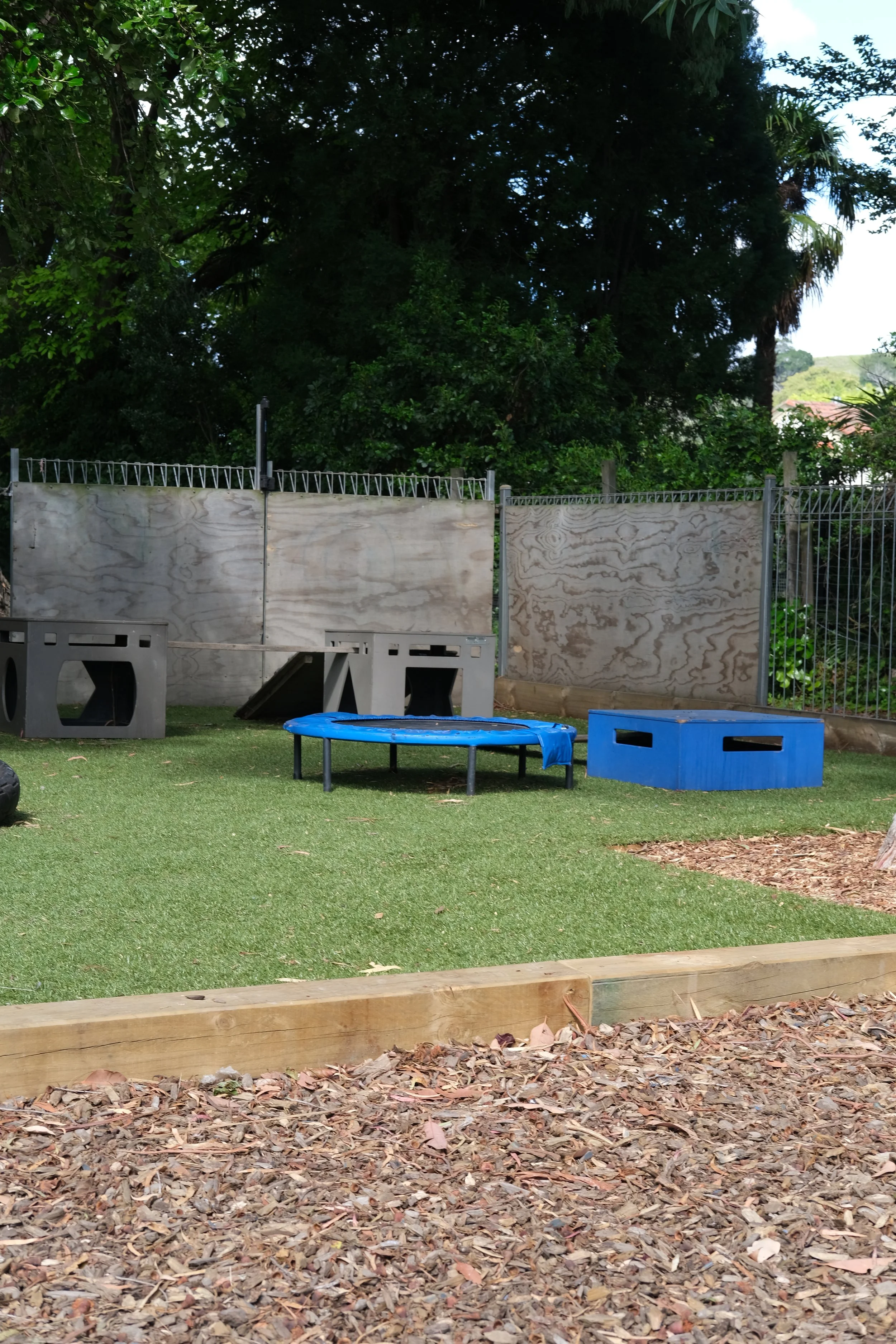 DSCF8148.JPG
