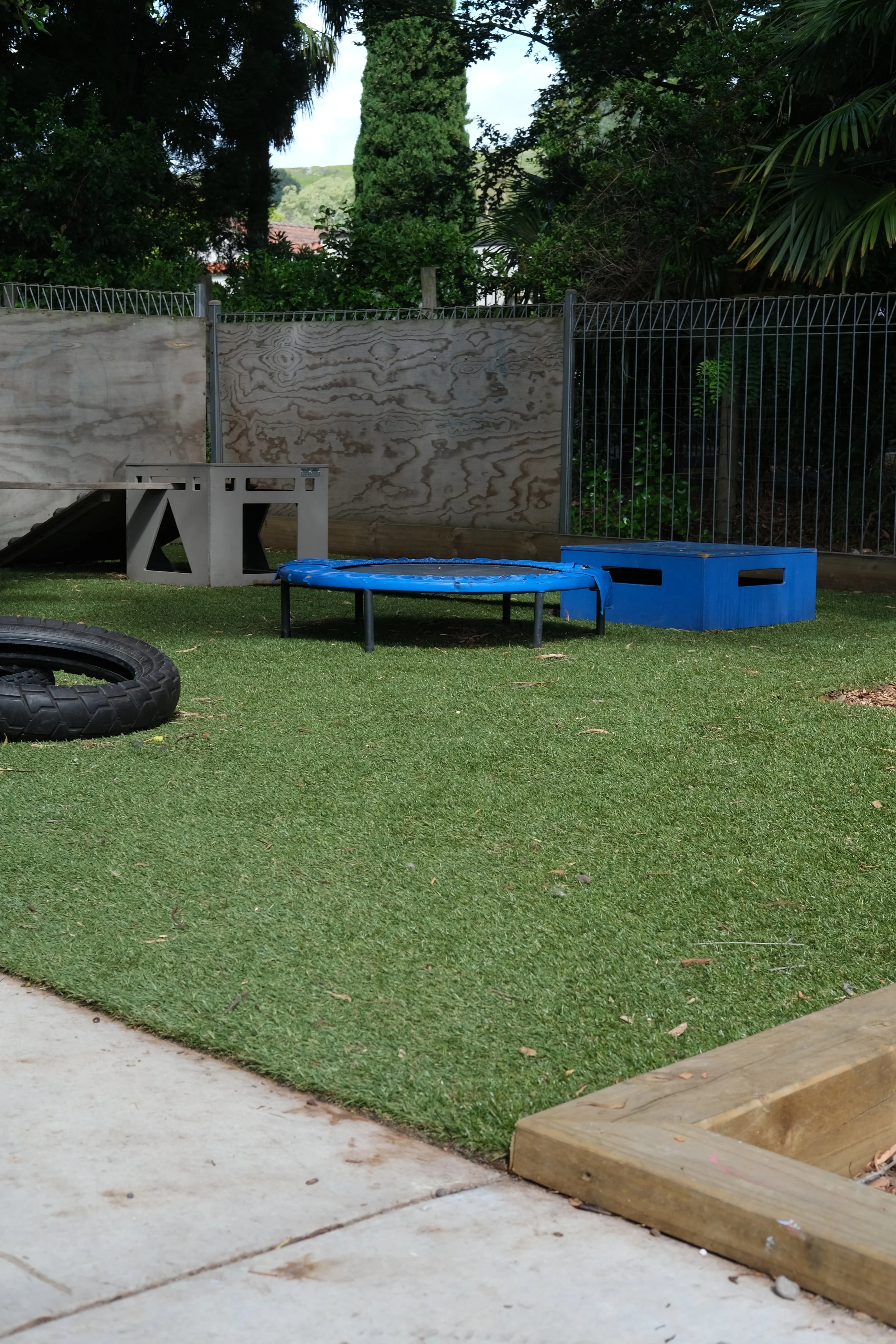 DSCF8149.JPG