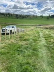IMG_1113.jpeg
