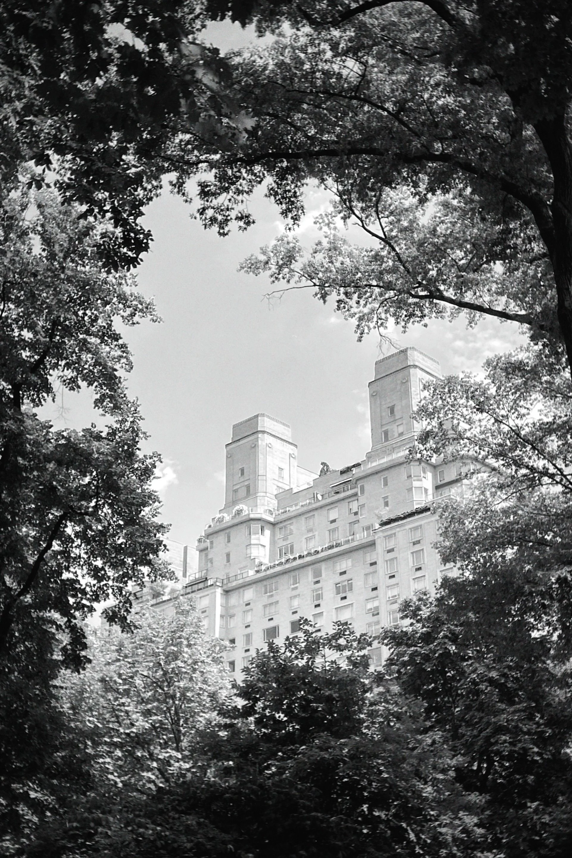 dblack 2023-08-06 133731.457.jpeg