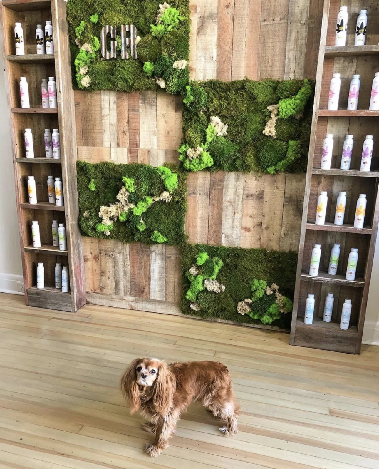 Custom green wall installation for a NYC retail space, boosting productivity and aesthetics.