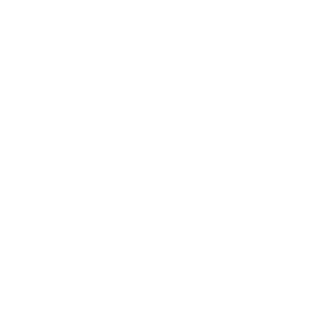 Shanling logo