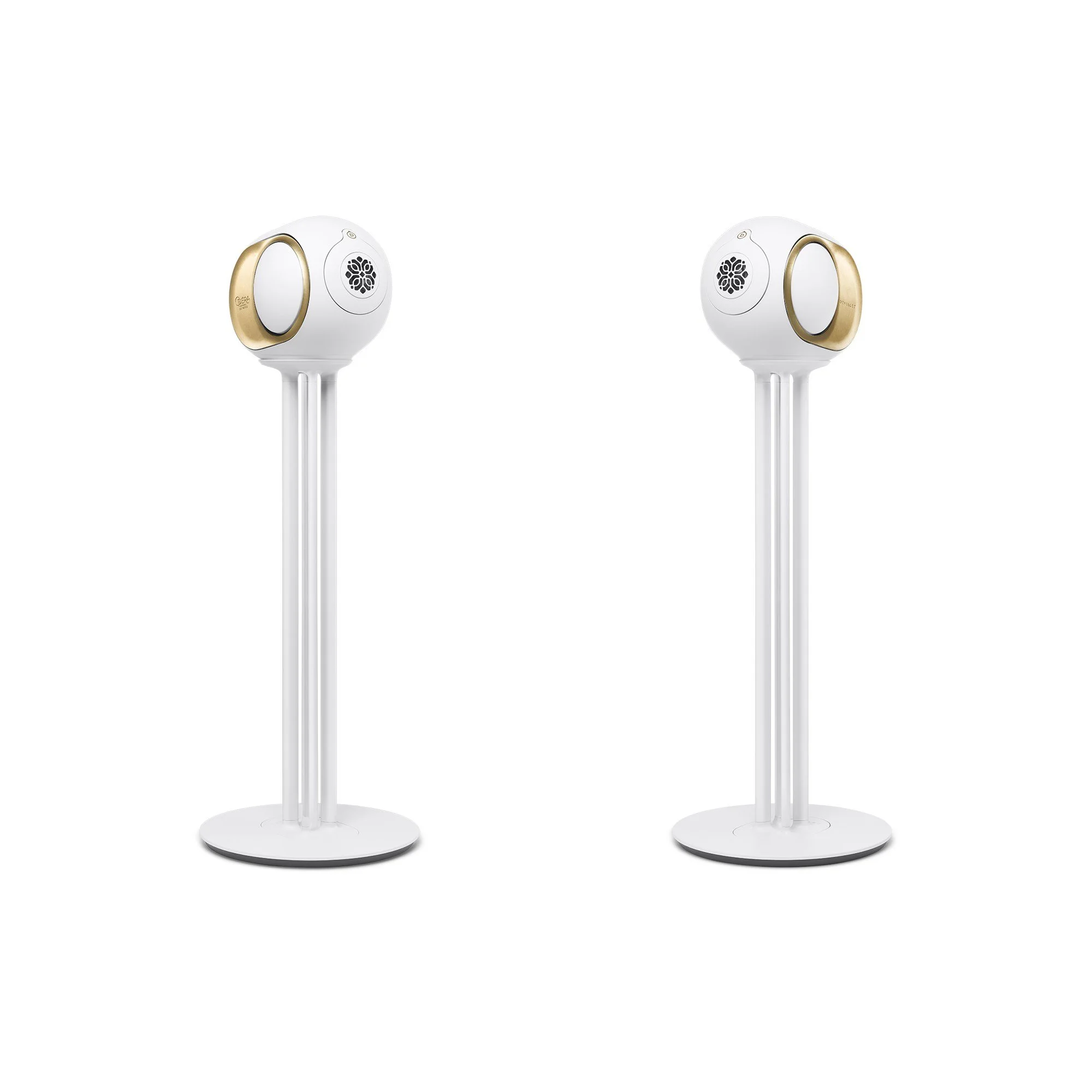 04-stereo-pair.jpg