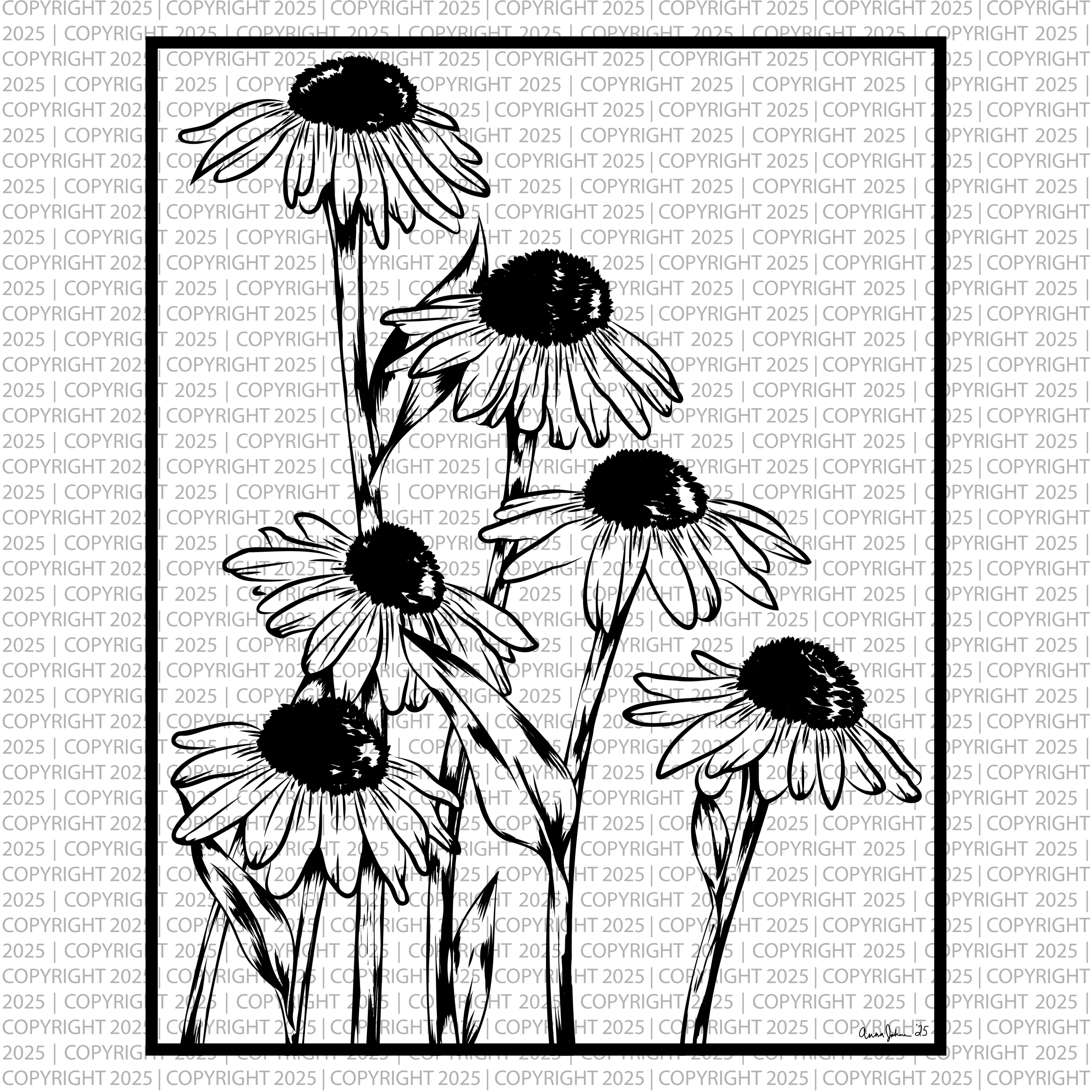 Coneflowers-01.png