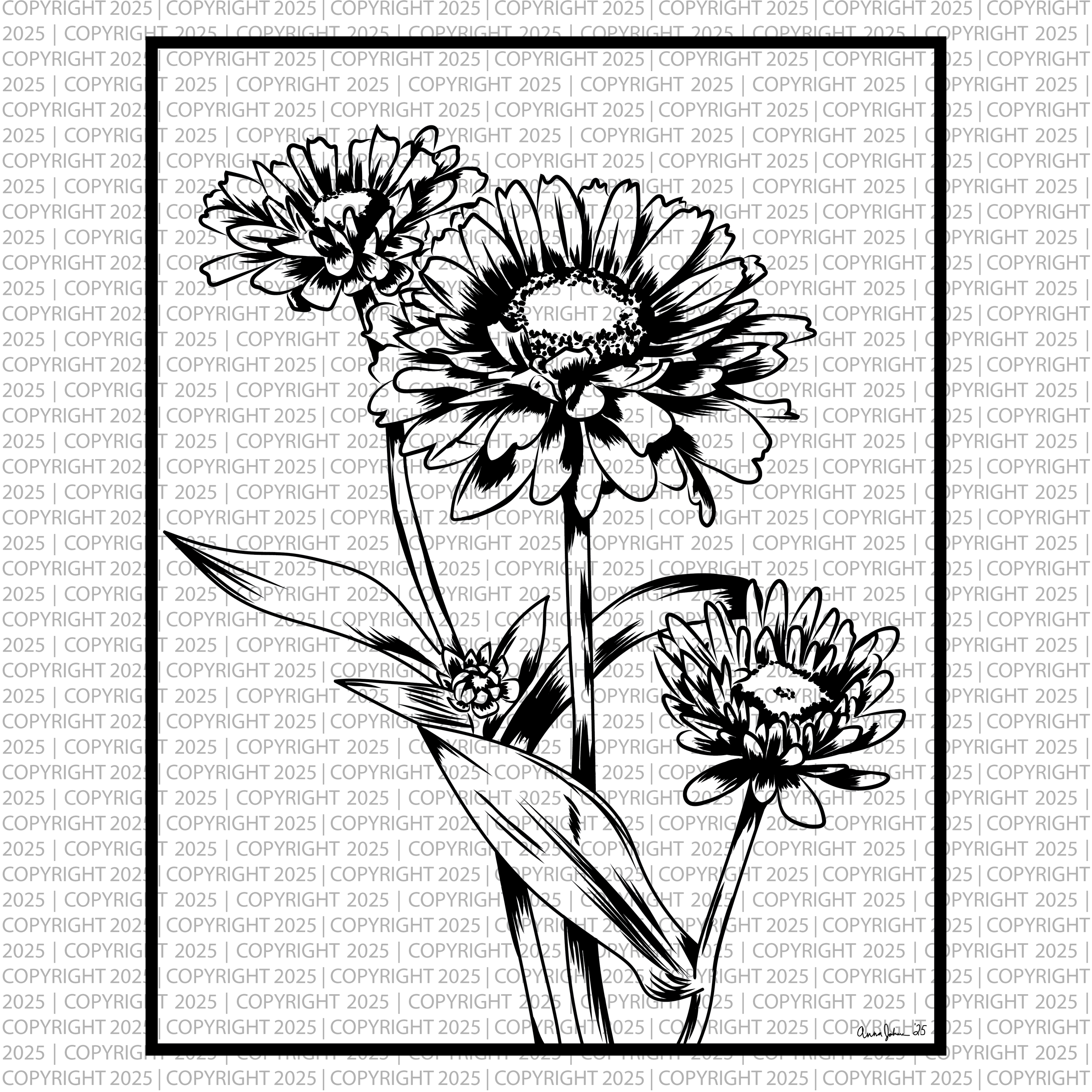 DenverDaisies-01.png