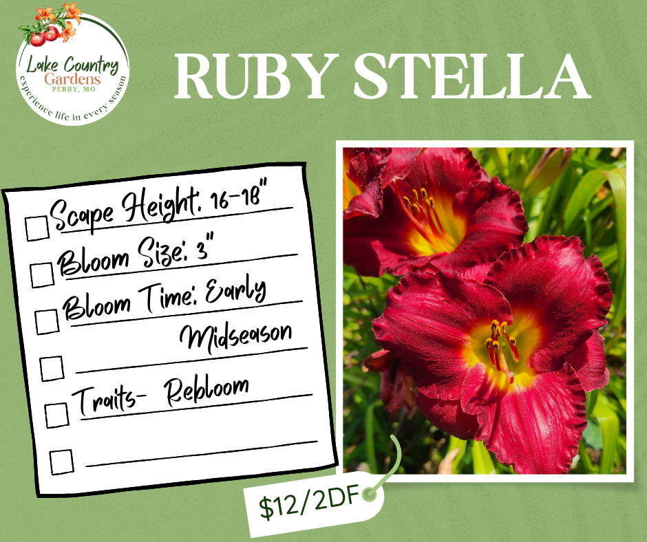 Ruby Stella