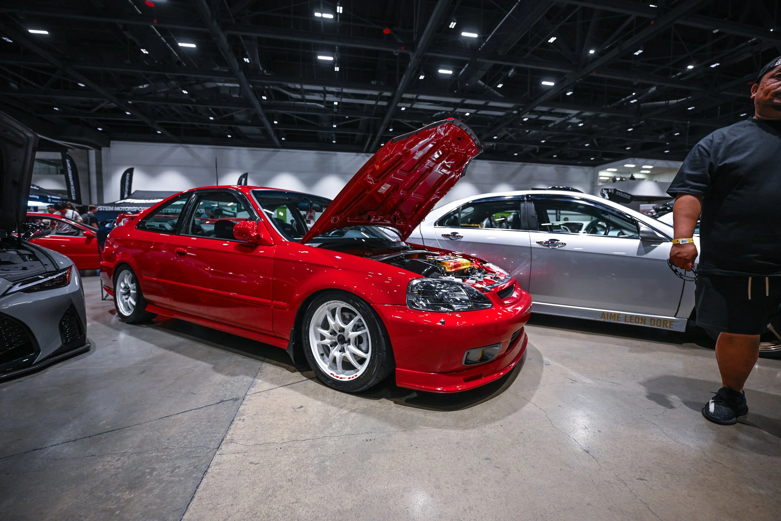 fam4-815.jpg