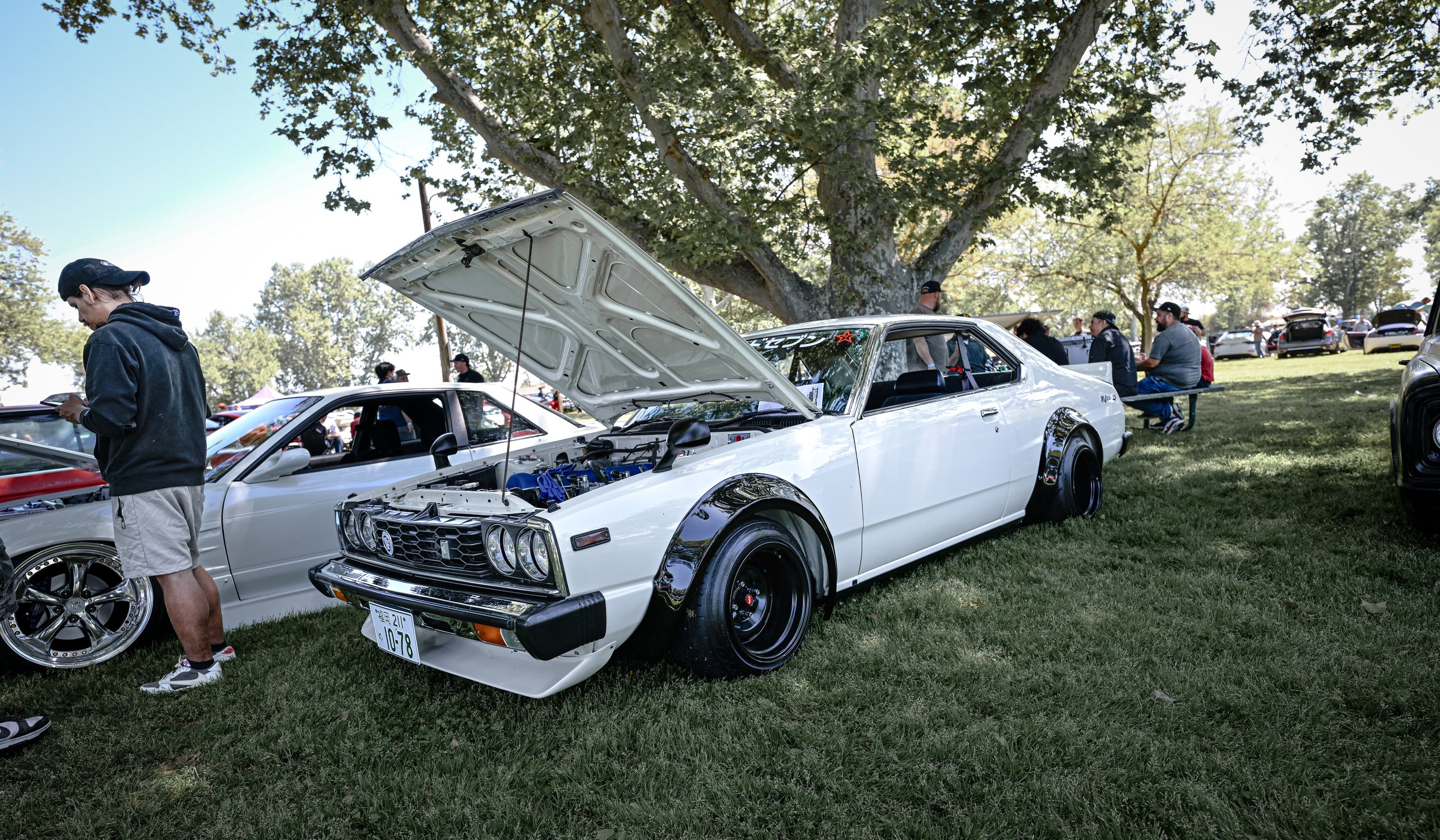 fam4-625.jpg