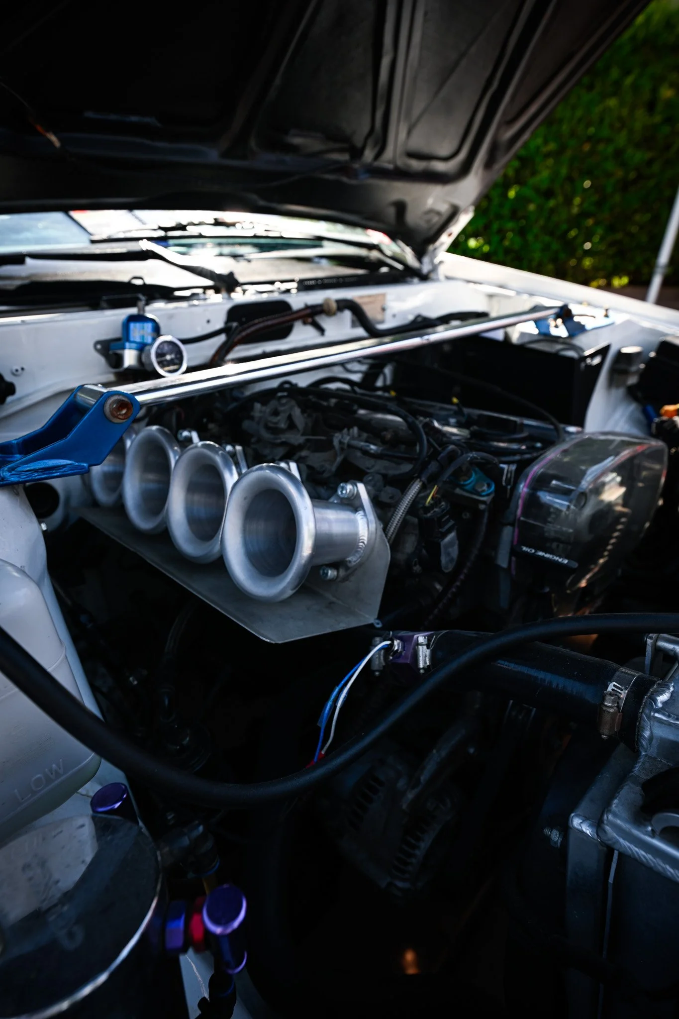 _DSC8870.jpg