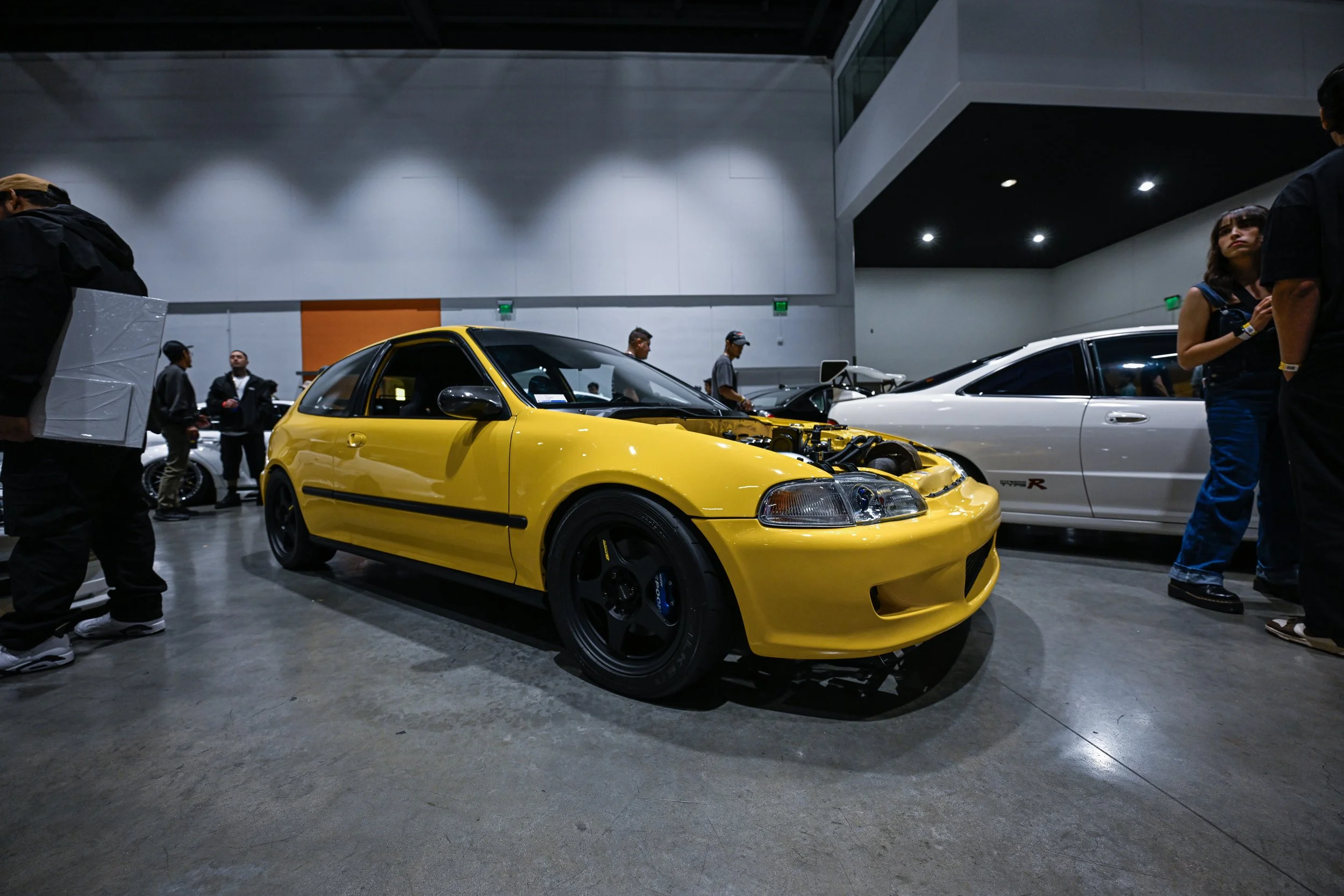 fam4-781.jpg