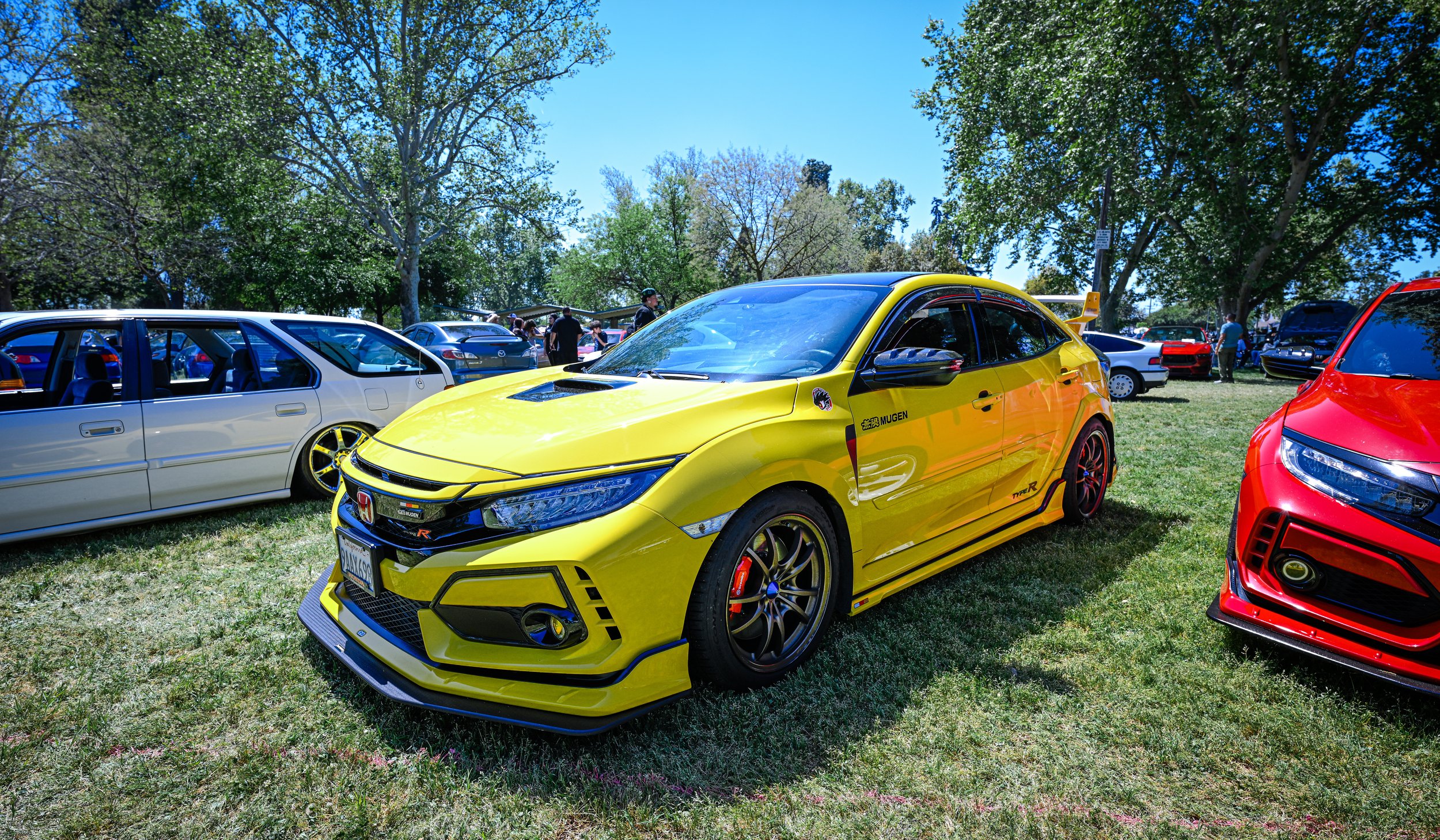 fam4-622.jpg