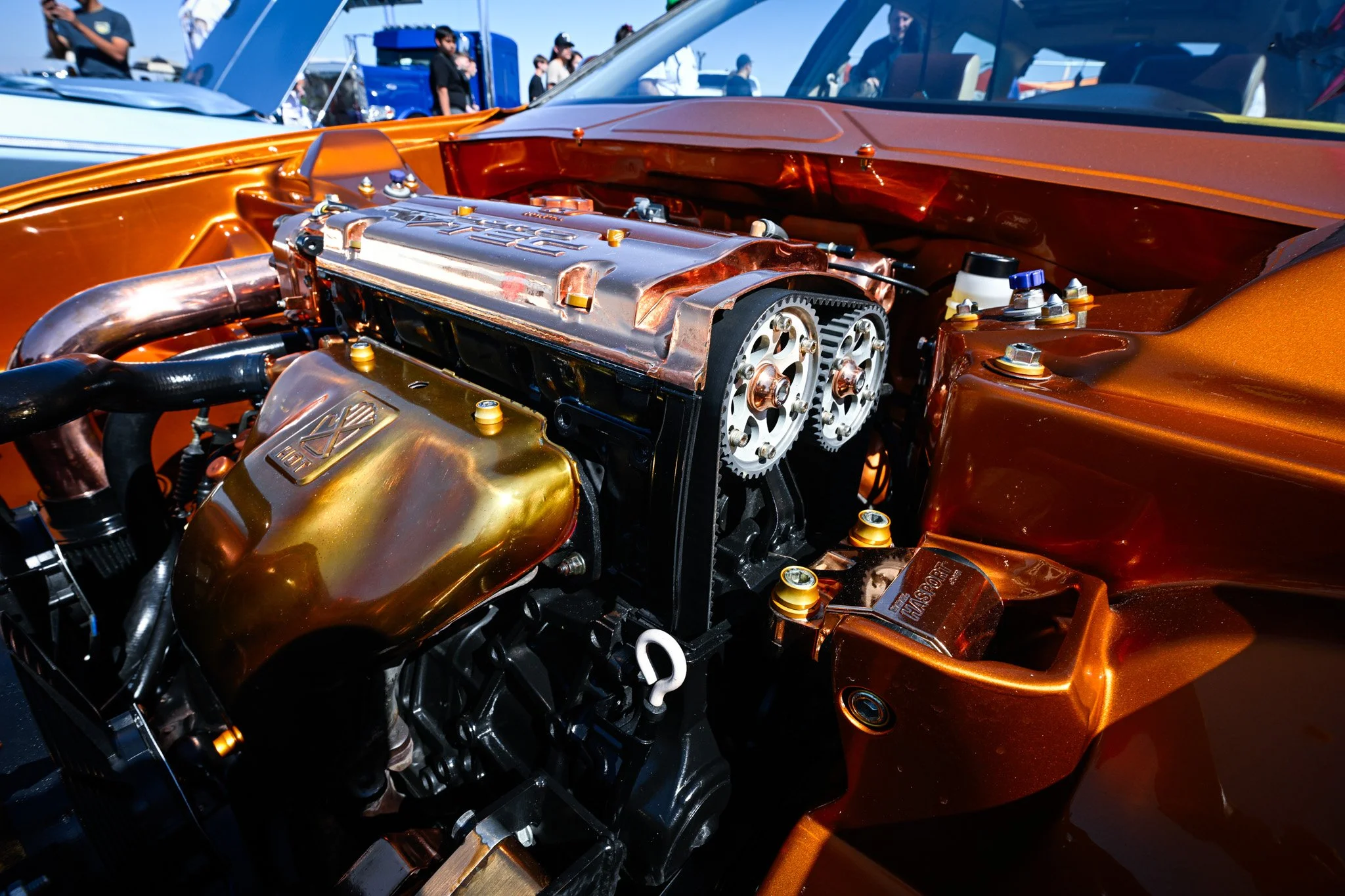 _DSC8844.jpg