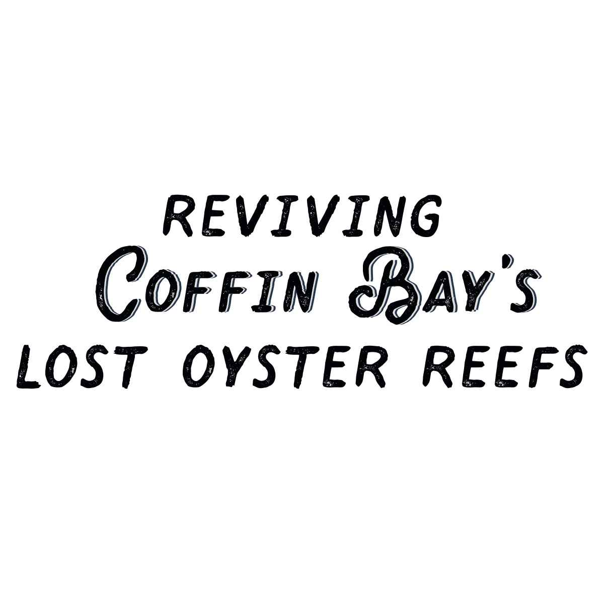 Coffin Bay&#39;s Oyster Reefs