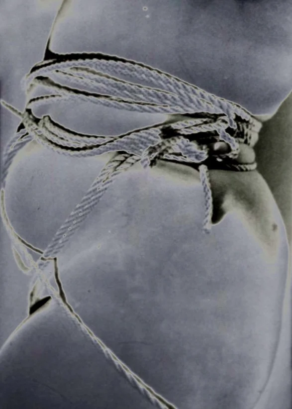 Evidence of Holding - Solarized Flesh (Compression Study III)