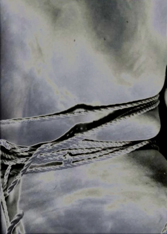 Fixed at the Waist- Solarized Flesh (Compression Study I)