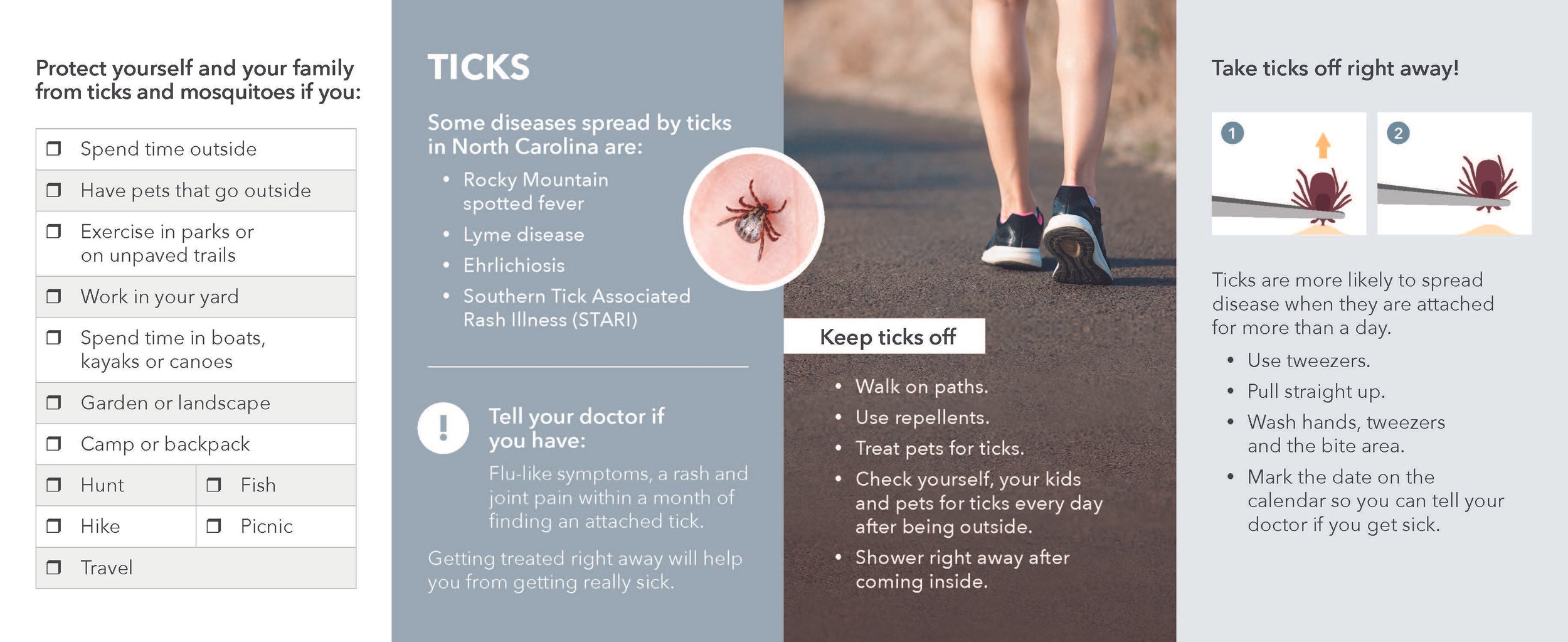 Mosquitos & Ticks Guide