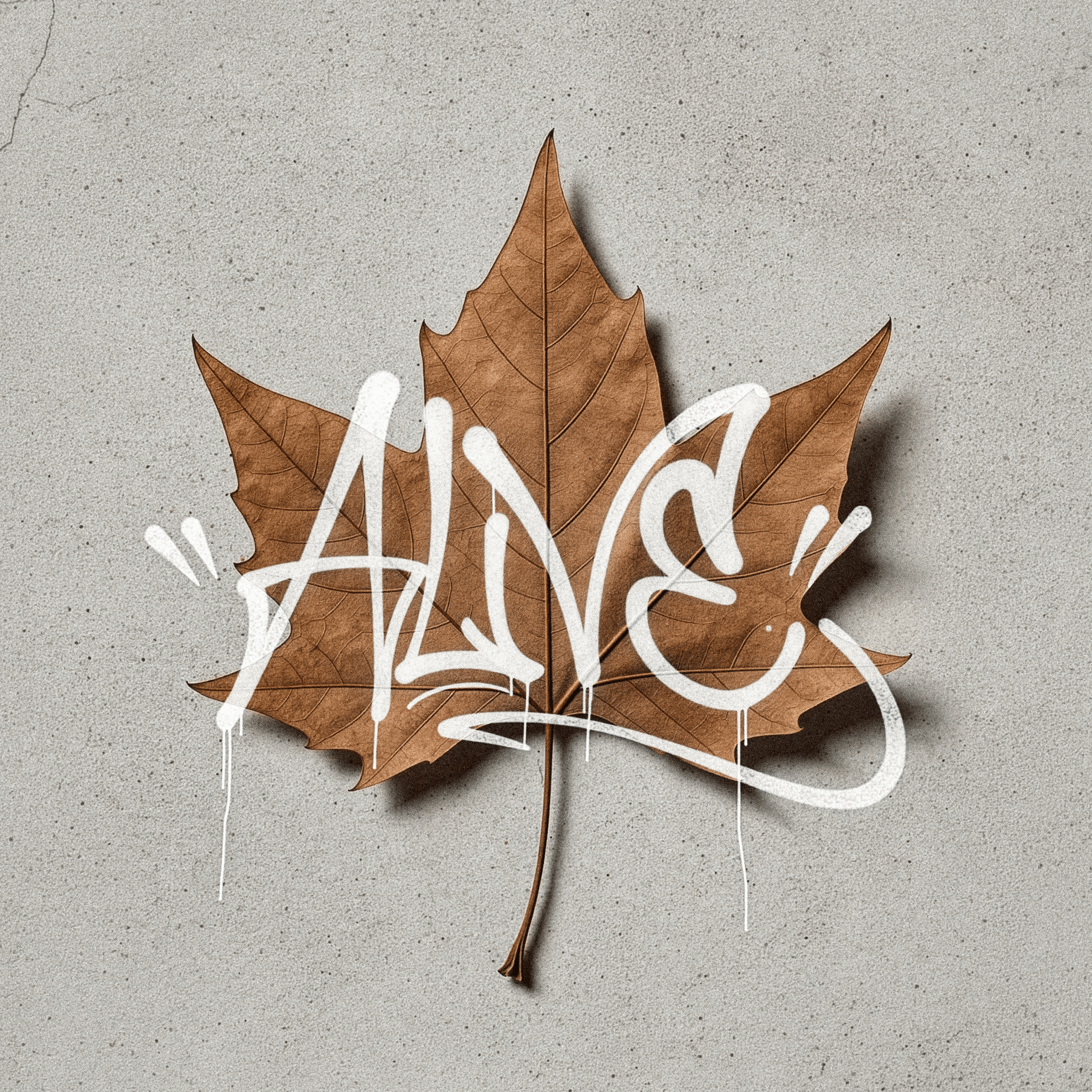 Alive — Album Visual Identity