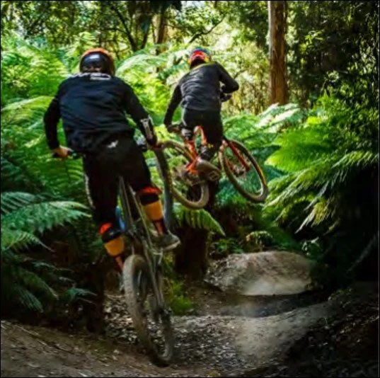 Two mountain bikers jumping off a small dirt hill in a lush green forest.