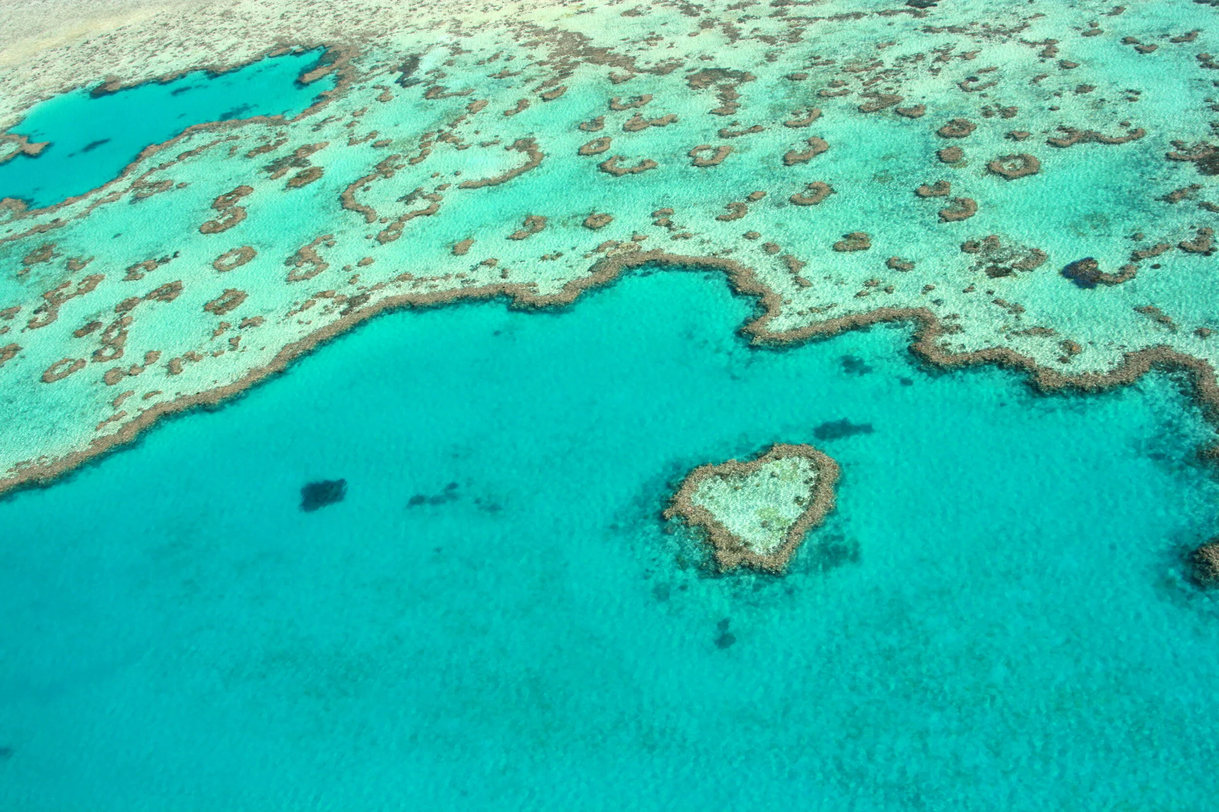 Aerial view of a tropical coral reef with clear blue water and scattered islands.
