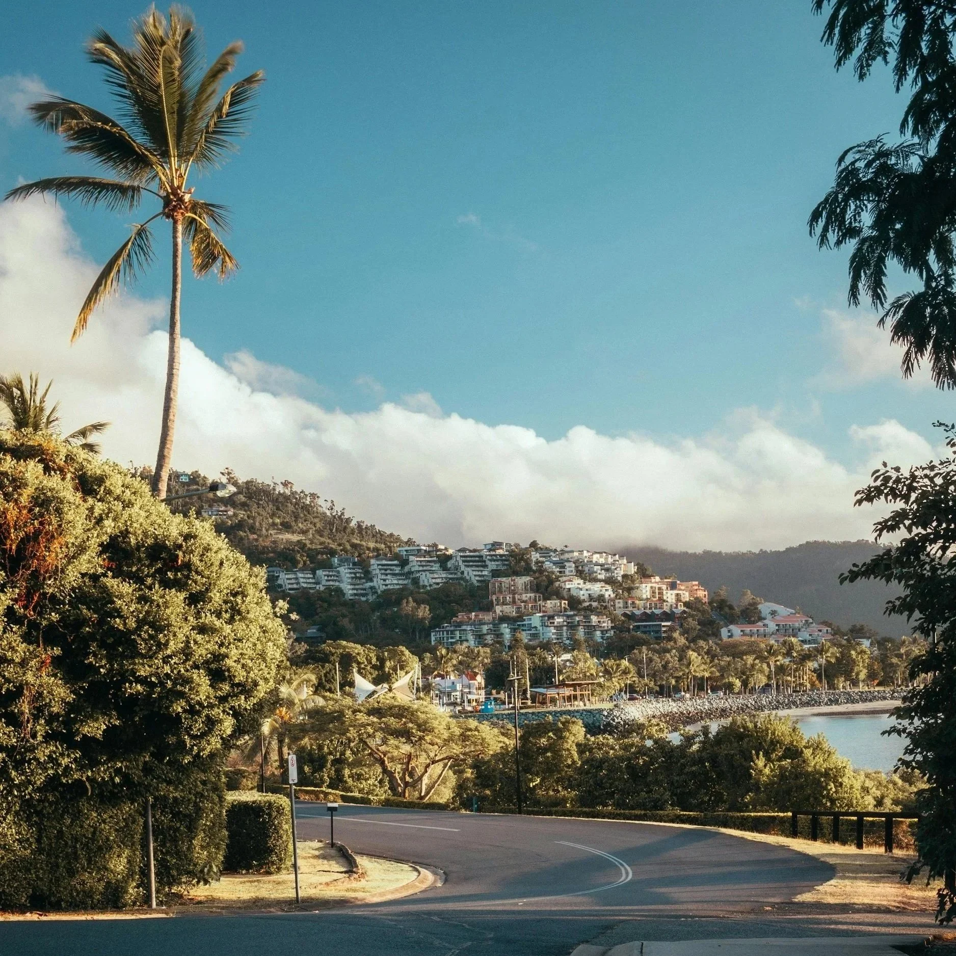 A view of a coastal hillside with modern houses, lush greenery, and tall palm trees under a clear blue sky. Airlie Beach. Whitsunday Skyway.