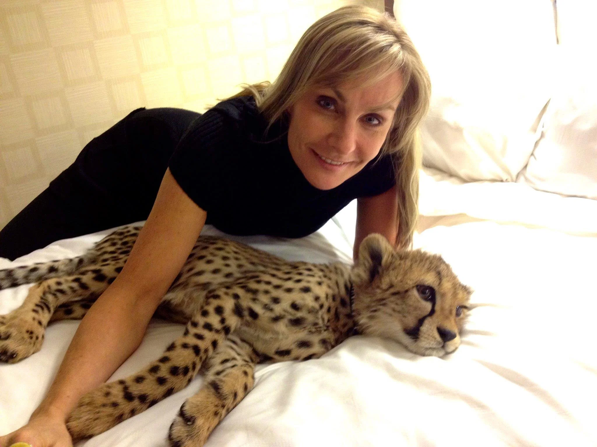Judy is passionate about cheetah conservation. Here she is with Savannah, an ambassador from the Cinncinati Zoo.