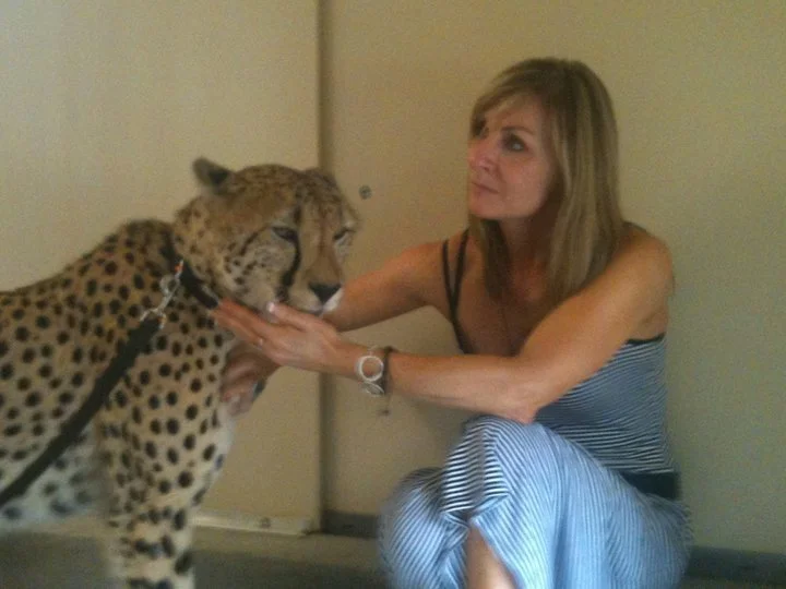 Always supporting cheetah conservation efforts, Judy performed at the Cinncinati Zoo in support of the Angel Fund. Here she is with Tommy after celebrating animal rights activist Cathryn Hilker's birthday