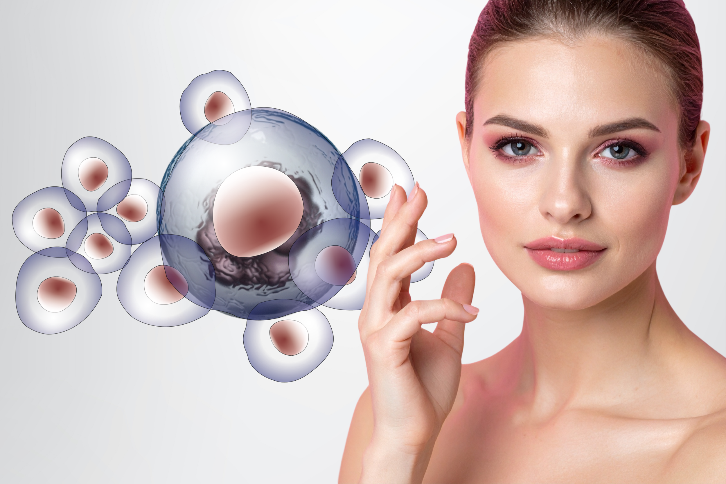 American Certified Stem Cell Therapy