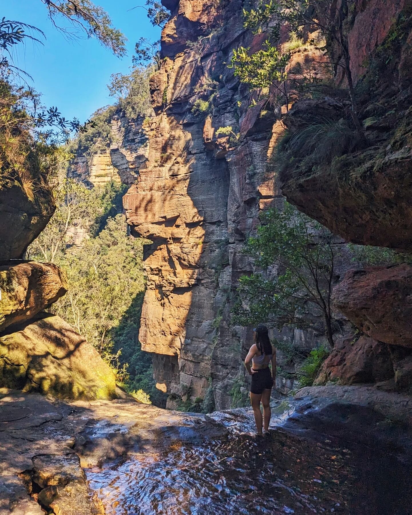 🌿😌 scrambles, infinity pools and bull ant bites.