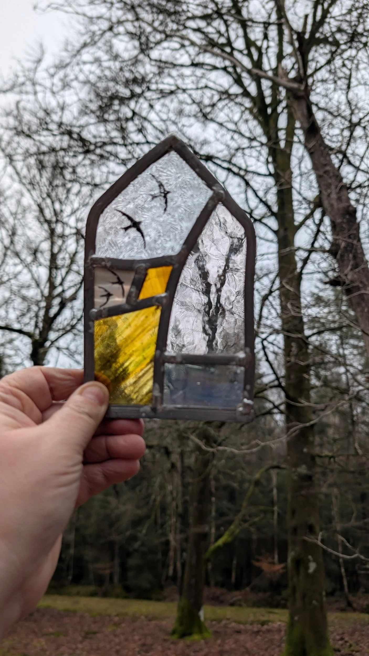 Return of the Swifts