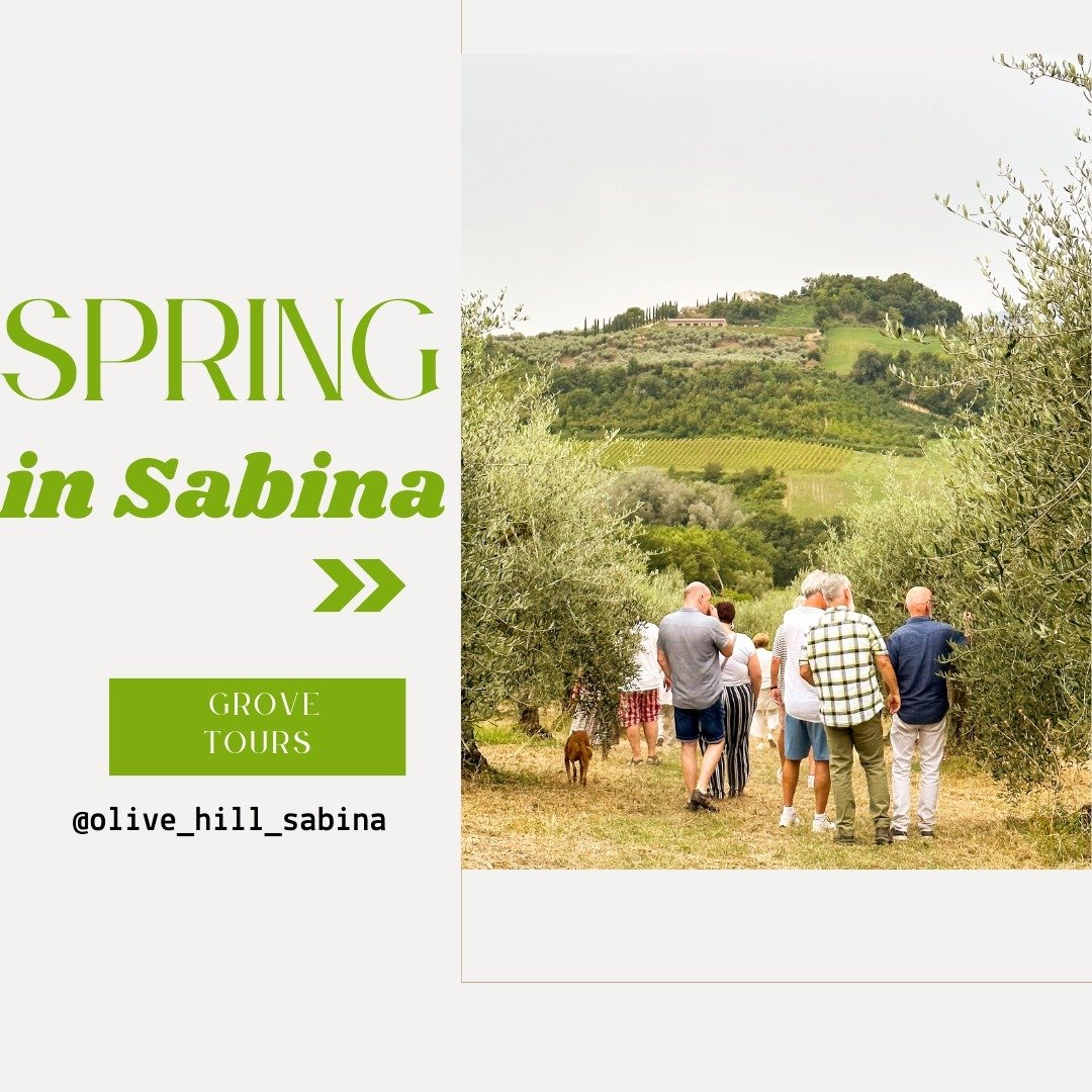 Spring is a fabulous time to visit our #organic #olivegrove here in our beautiful #sabina 
This spring we are offering Taster Mornings and Meet the Maker Days, giving you the opportunity to learn about all things olive oil in a gorgeous setting.
Book