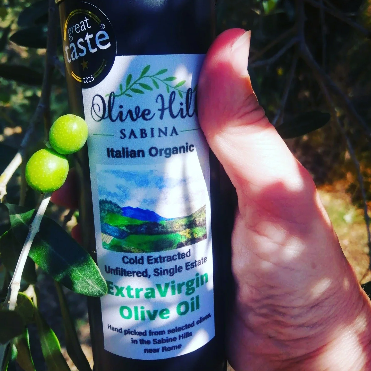 The results are in from our submission to the Great Taste Awards 2025!

What did the judges say?

&quot;This EVOO has an attractive deep golden colour and fresh grassy aroma.
We loved the creamy mouthfeel and enjoyed the initial grassy, chopped rocke
